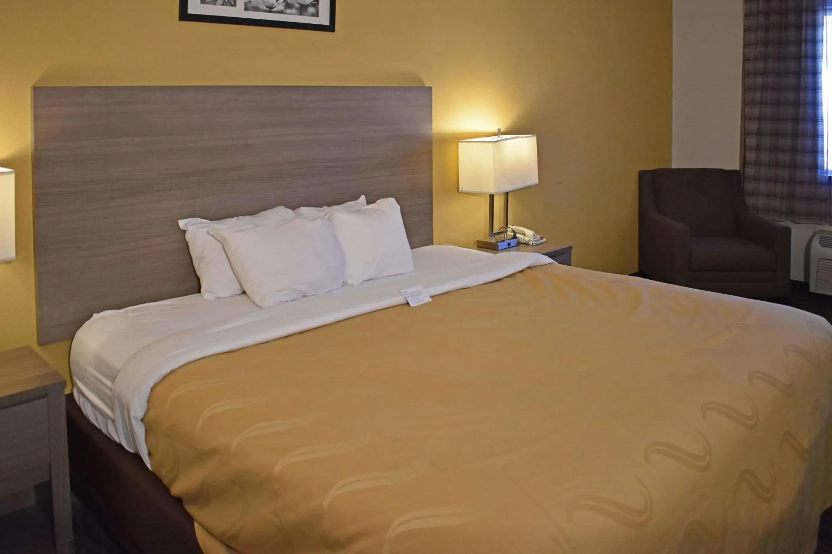 King Room with Roll-In Shower - Accessible/Non Smoking in Quality Inn & Suites Kearneysville - Martinsburg King Room with Roll-In Shower - Accessible/Non Smoking in Quality Inn & Suites Kearneysville - Martinsburg