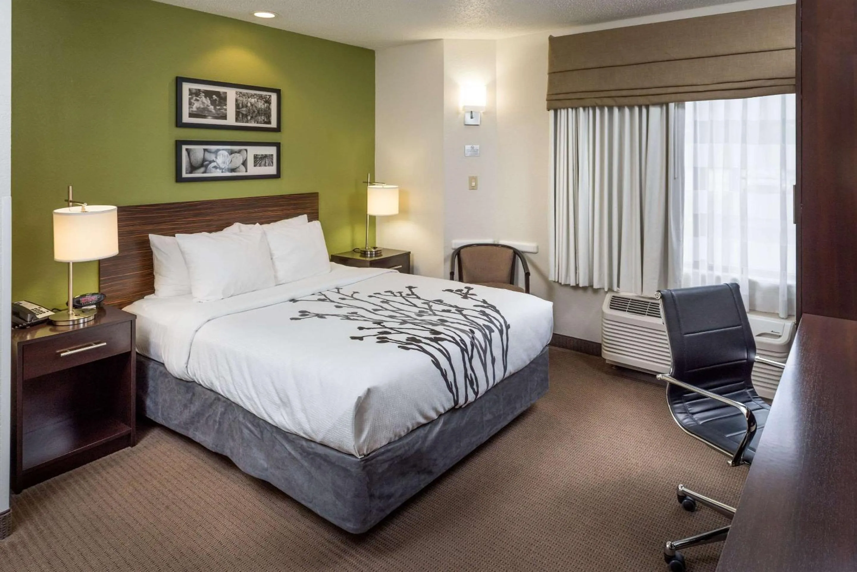 Photo of the whole room, Bed in Sleep Inn & Suites Cross Lanes - South Charleston