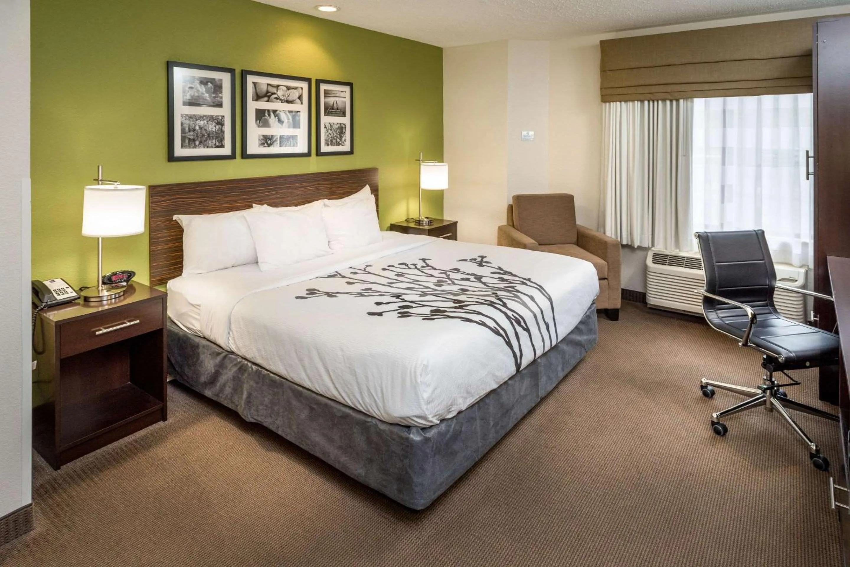 Photo of the whole room, Bed in Sleep Inn & Suites Cross Lanes - South Charleston