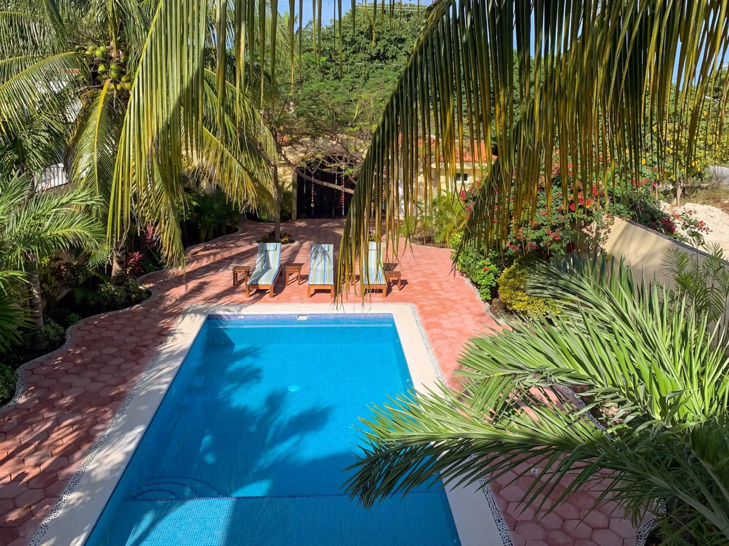 Natural landscape in Casa Zarah - Hacienda Family Home - Pool and 2-Block to Beach