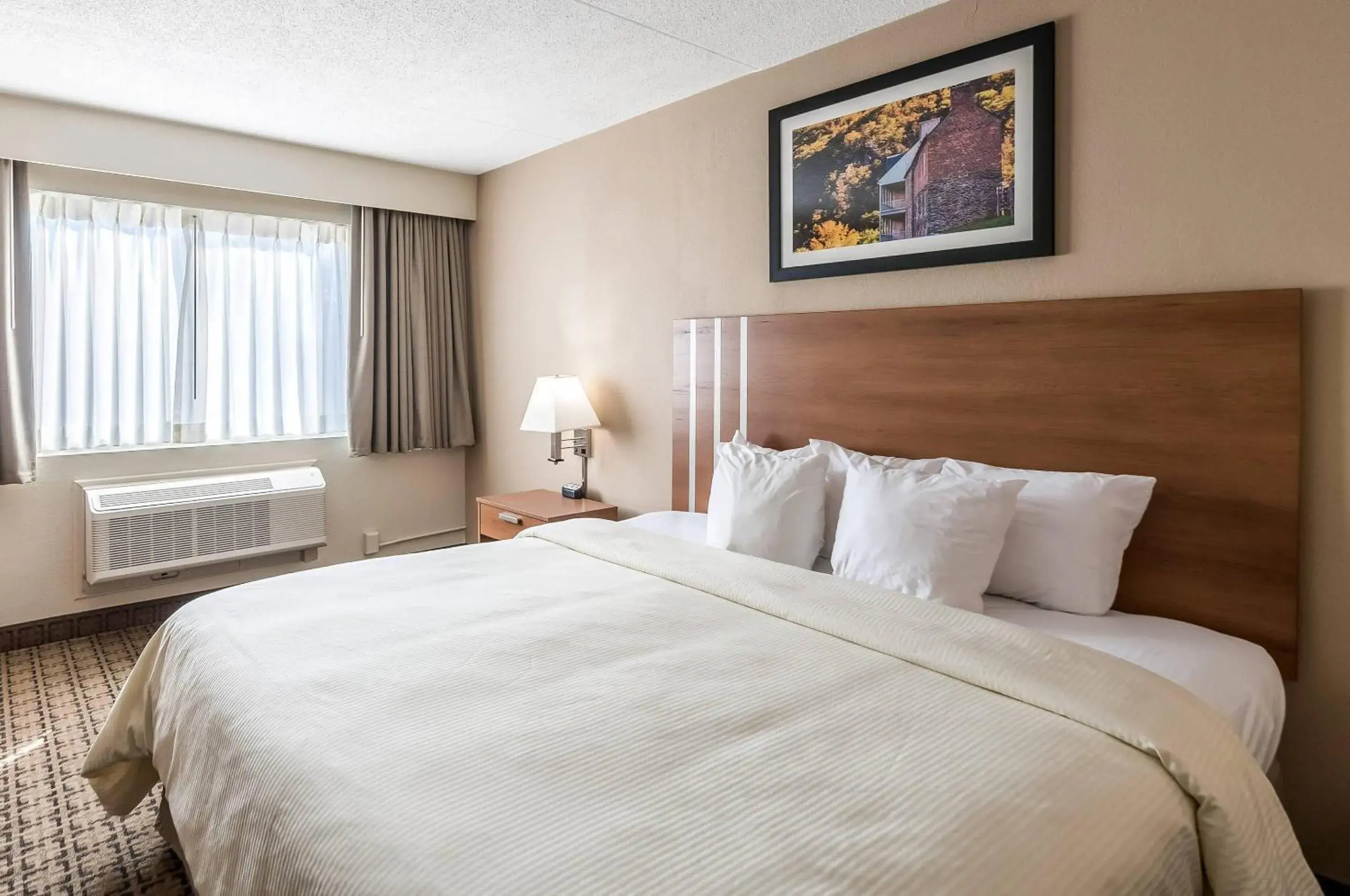 Standard King Room - Non-Smoking in Clarion Inn Harpers Ferry-Charles Town Standard King Room - Non-Smoking in Clarion Inn Harpers Ferry-Charles Town