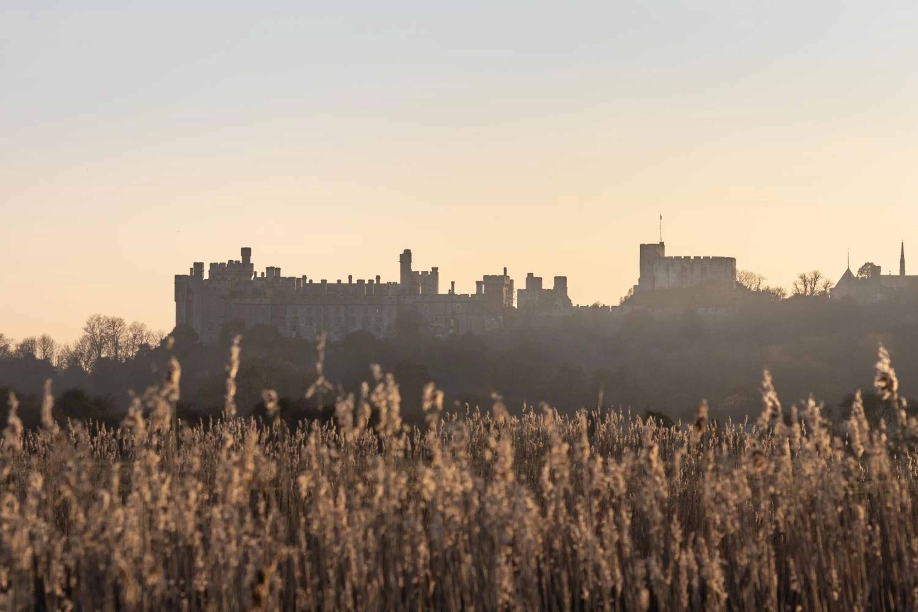 Neighbourhood in House Arundel