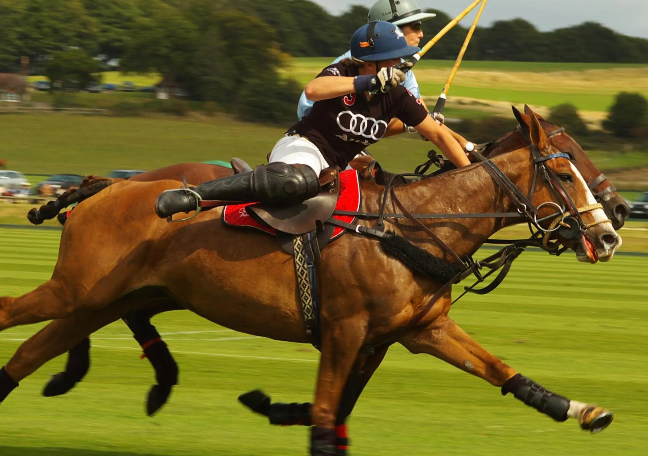 Activities in House Arundel