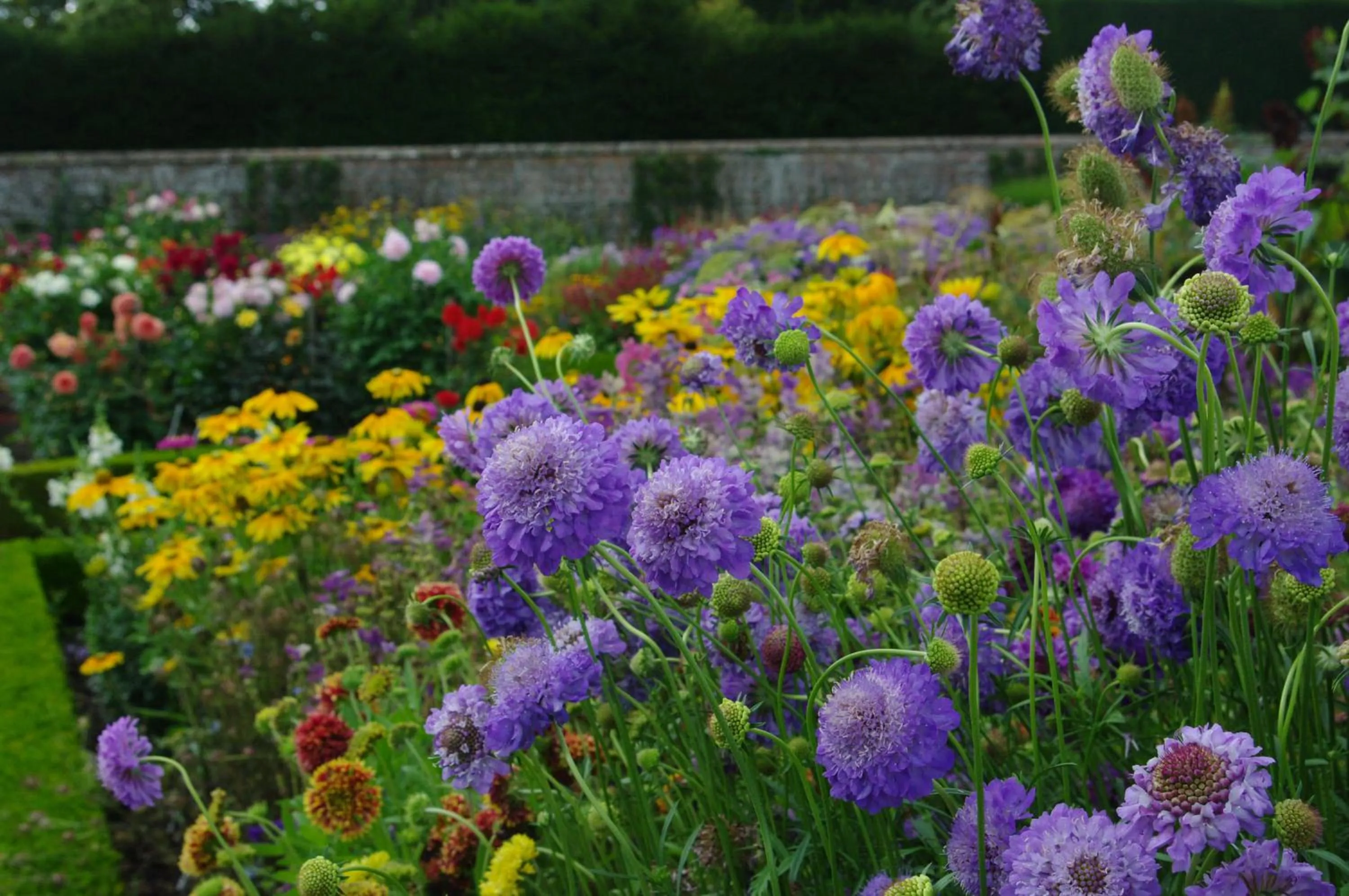Nearby landmark in House Arundel