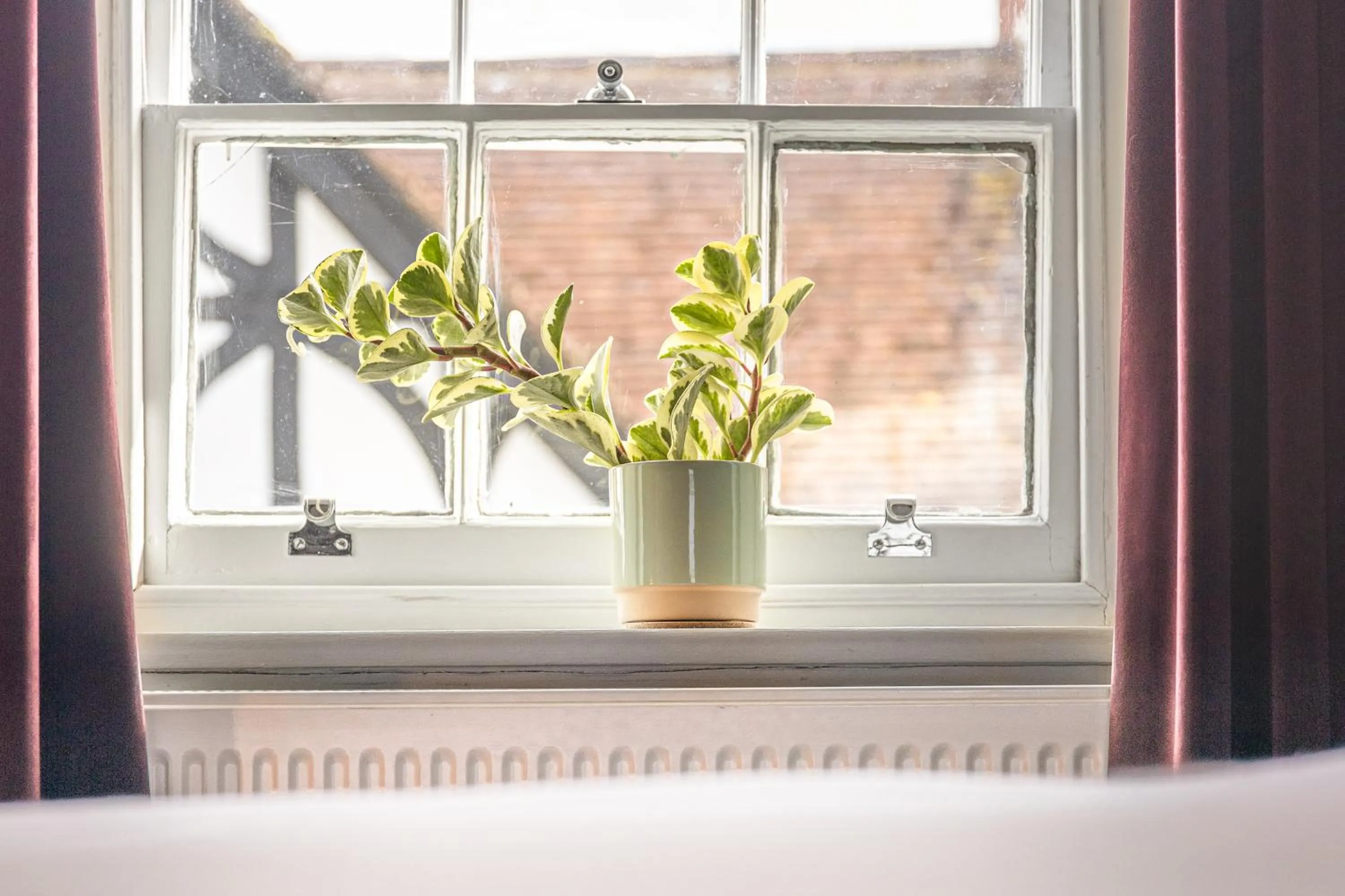 Decorative detail, Bed in House Arundel