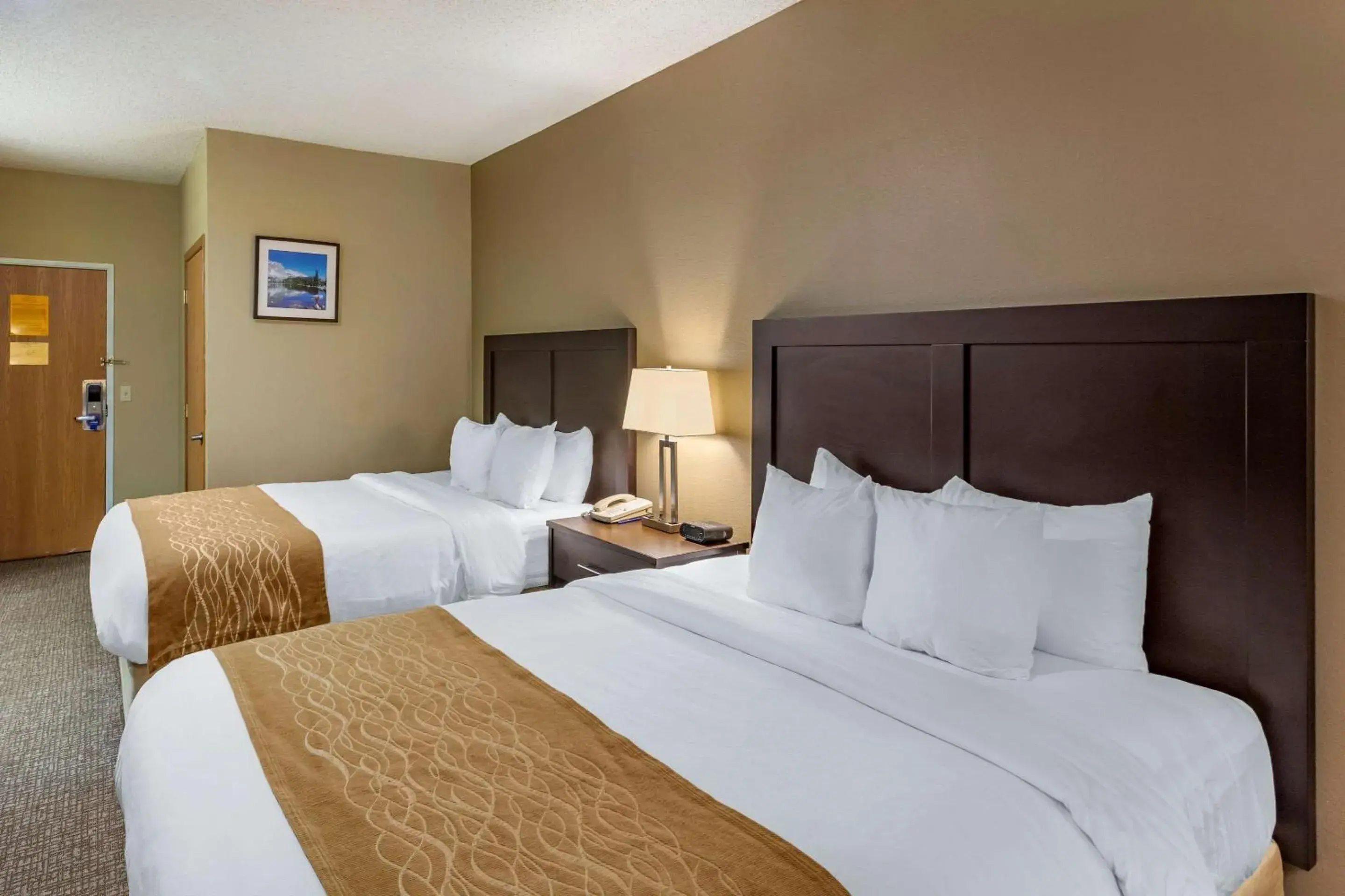 Queen Room with Two Queen Beds - Non-Smoking in Comfort Inn Evanston I-80 Queen Room with Two Queen Beds - Non-Smoking in Comfort Inn Evanston I-80