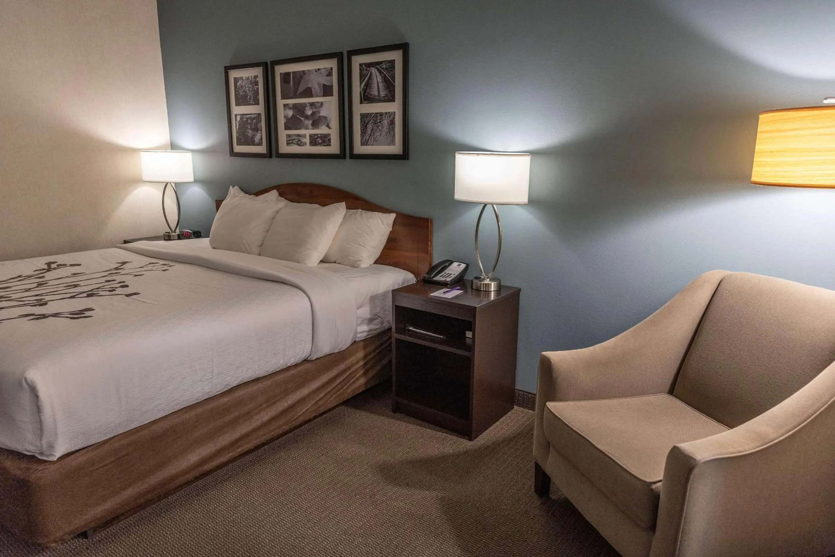 Bedroom, Bed in Sleep Inn & Suites Evansville - Casper