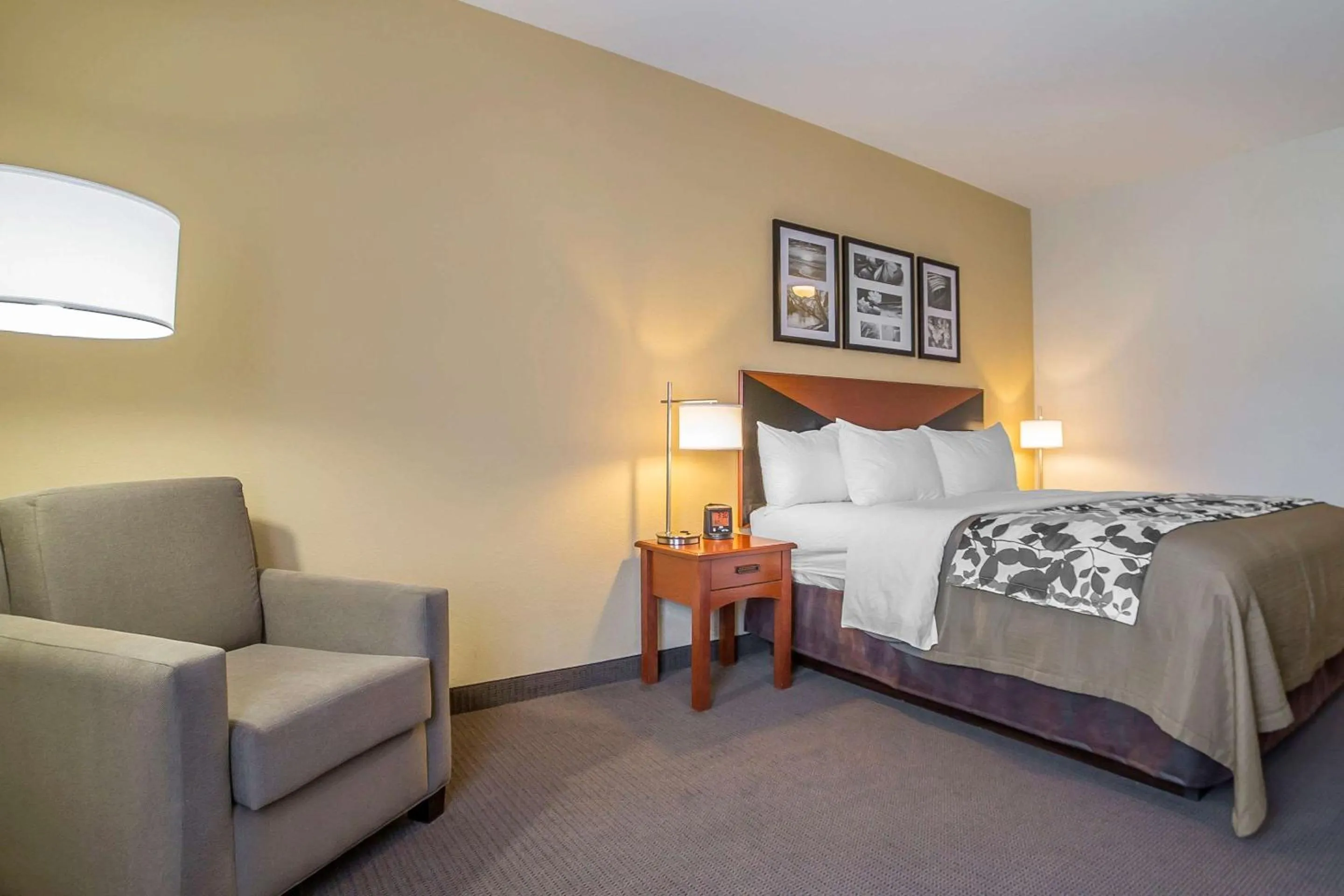 Photo of the whole room, Bed in Sleep Inn & Suites Douglas