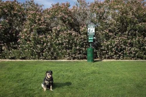 Hampton Inn & Suites Phoenix Glendale-Westgate