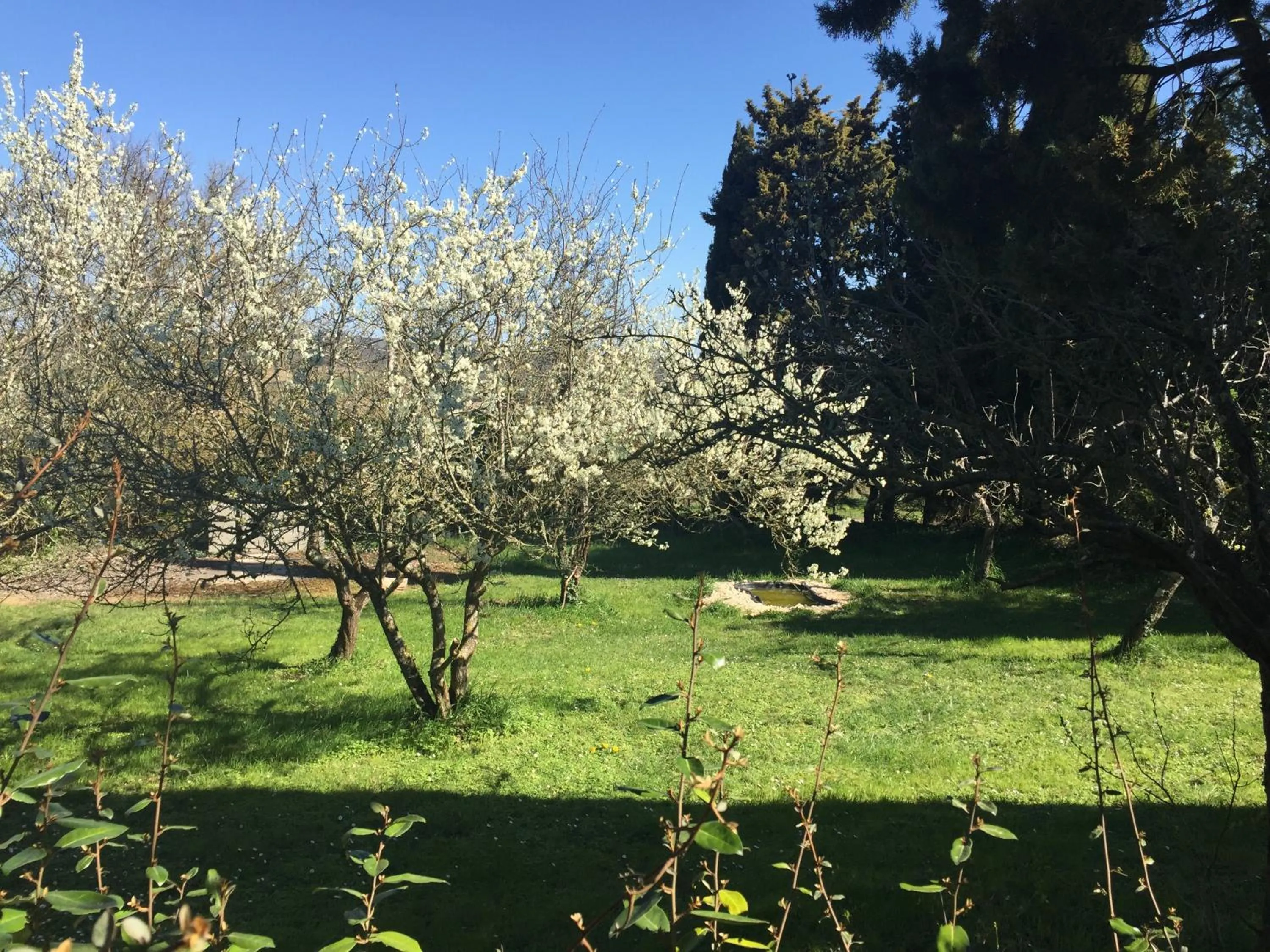 Garden in la maison ocre