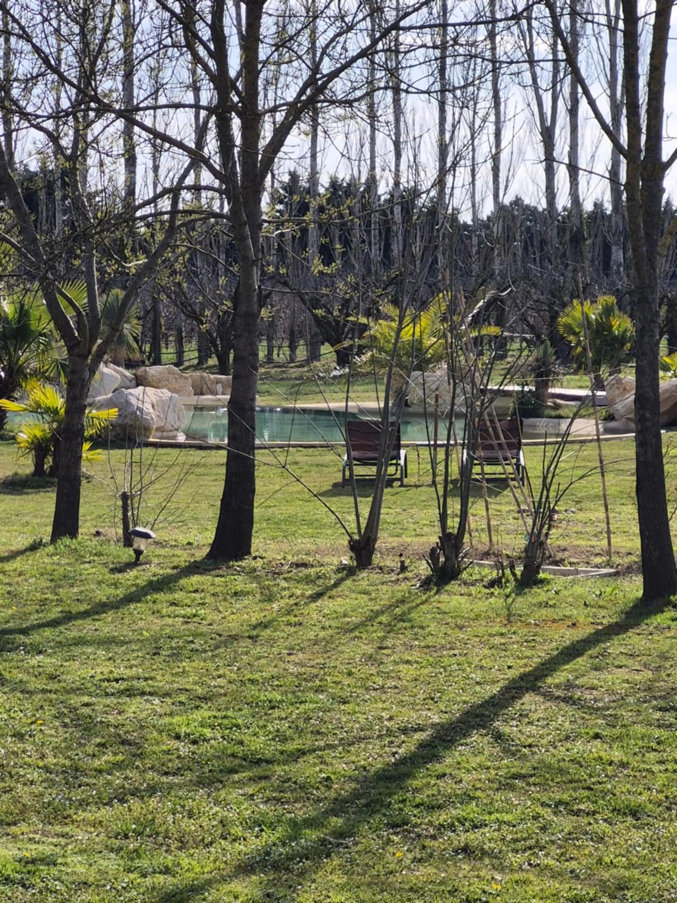 Garden view in Le Mas des Cerisiers JACUZZI et SAUNA inclus pour tous les logements