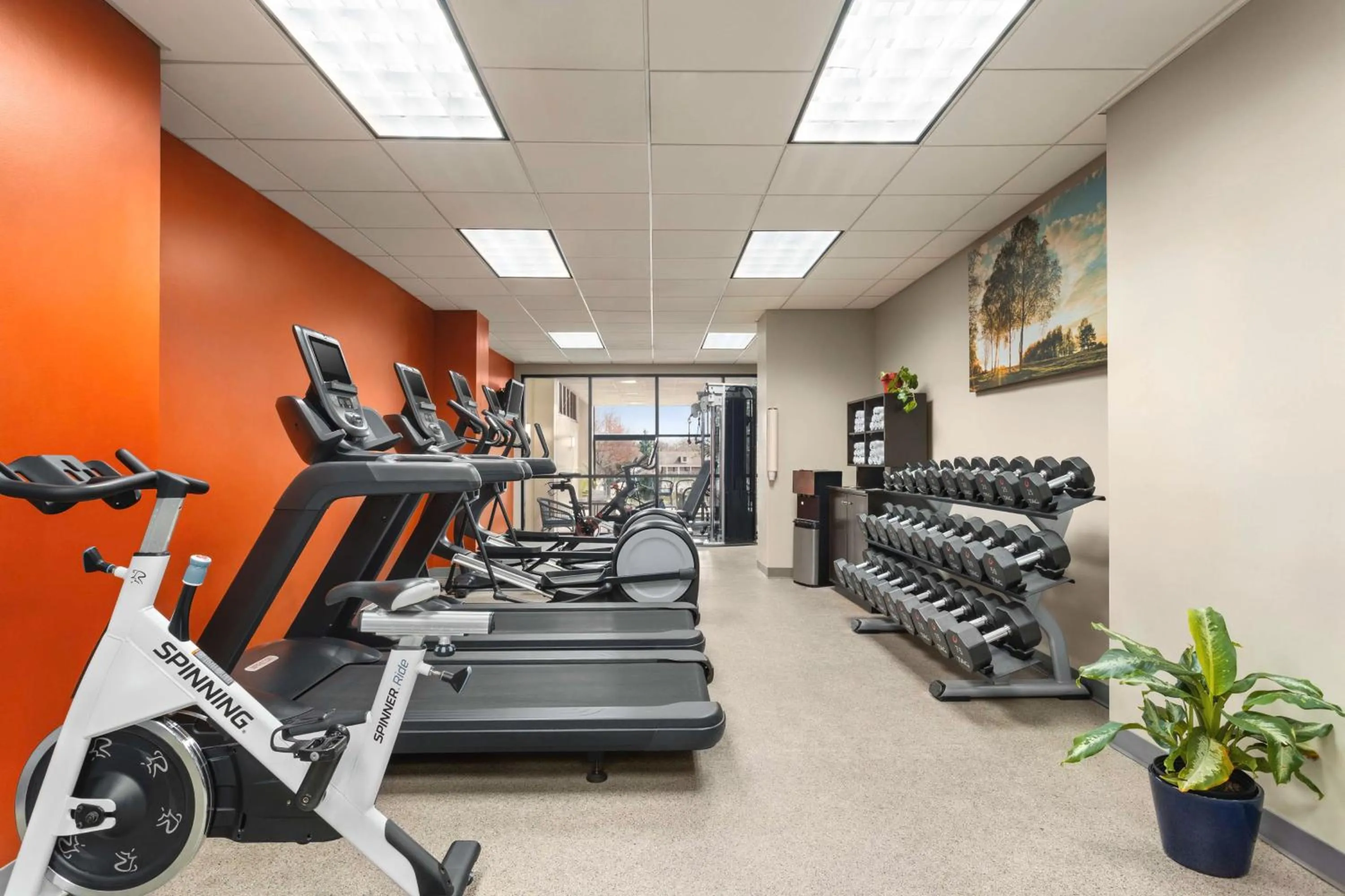 Fitness centre/facilities in Embassy Suites by Hilton Kansas City Overland Park