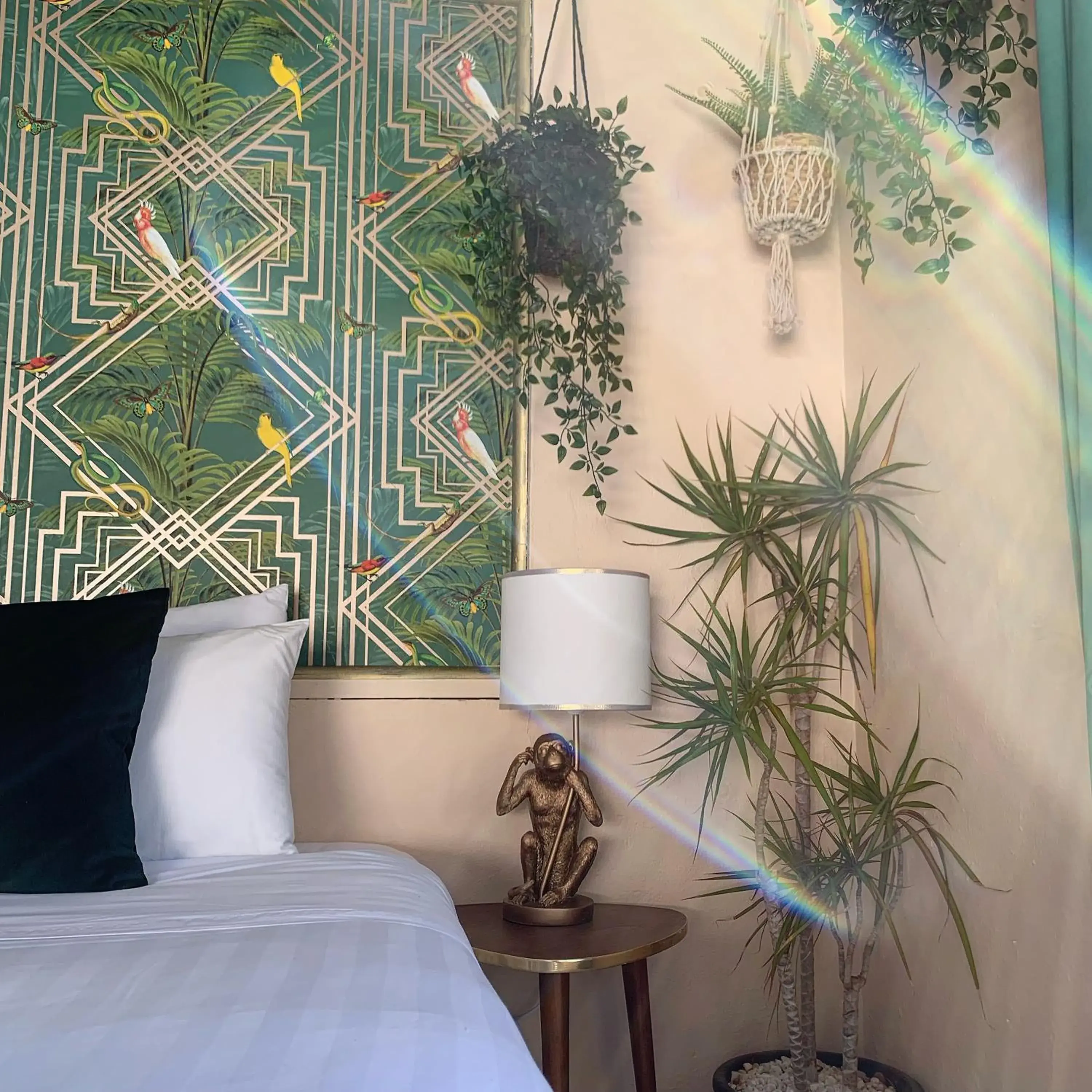 Studio (2 Adults) in Jardines De La Reina Boutique Bed & Breakfast Studio (2 Adults) in Jardines De La Reina Boutique Bed & Breakfast