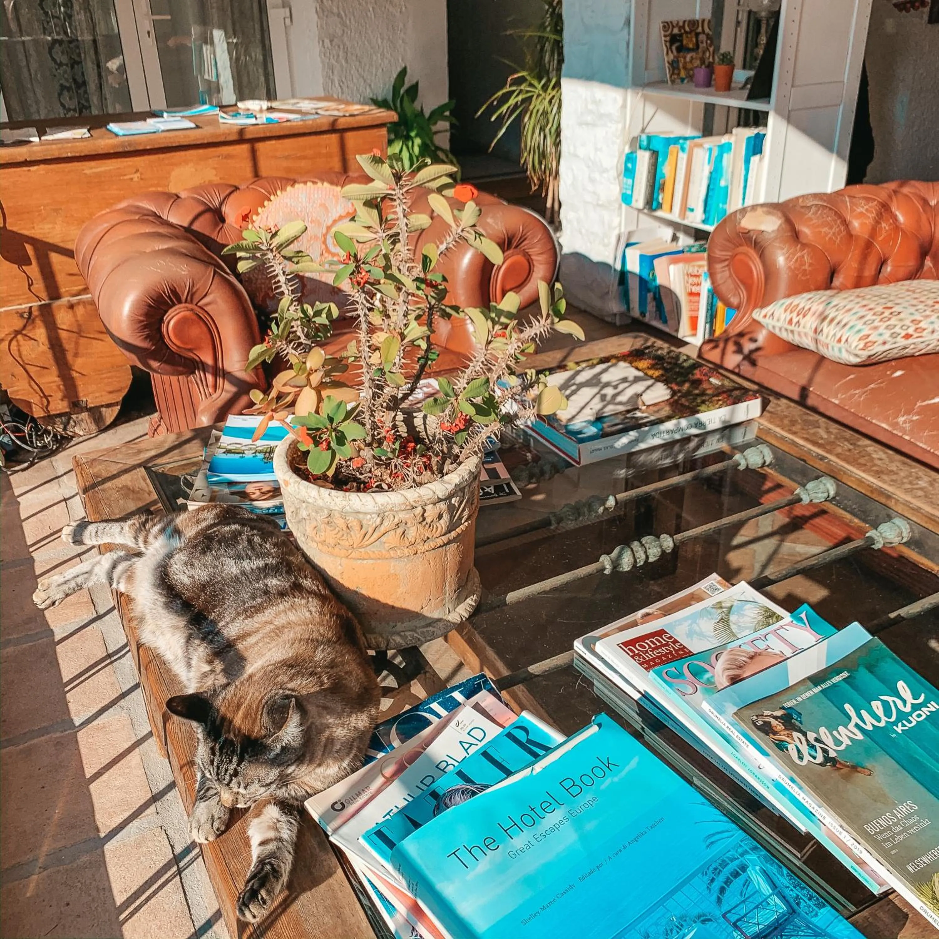 Jardines De La Reina Boutique Bed & Breakfast