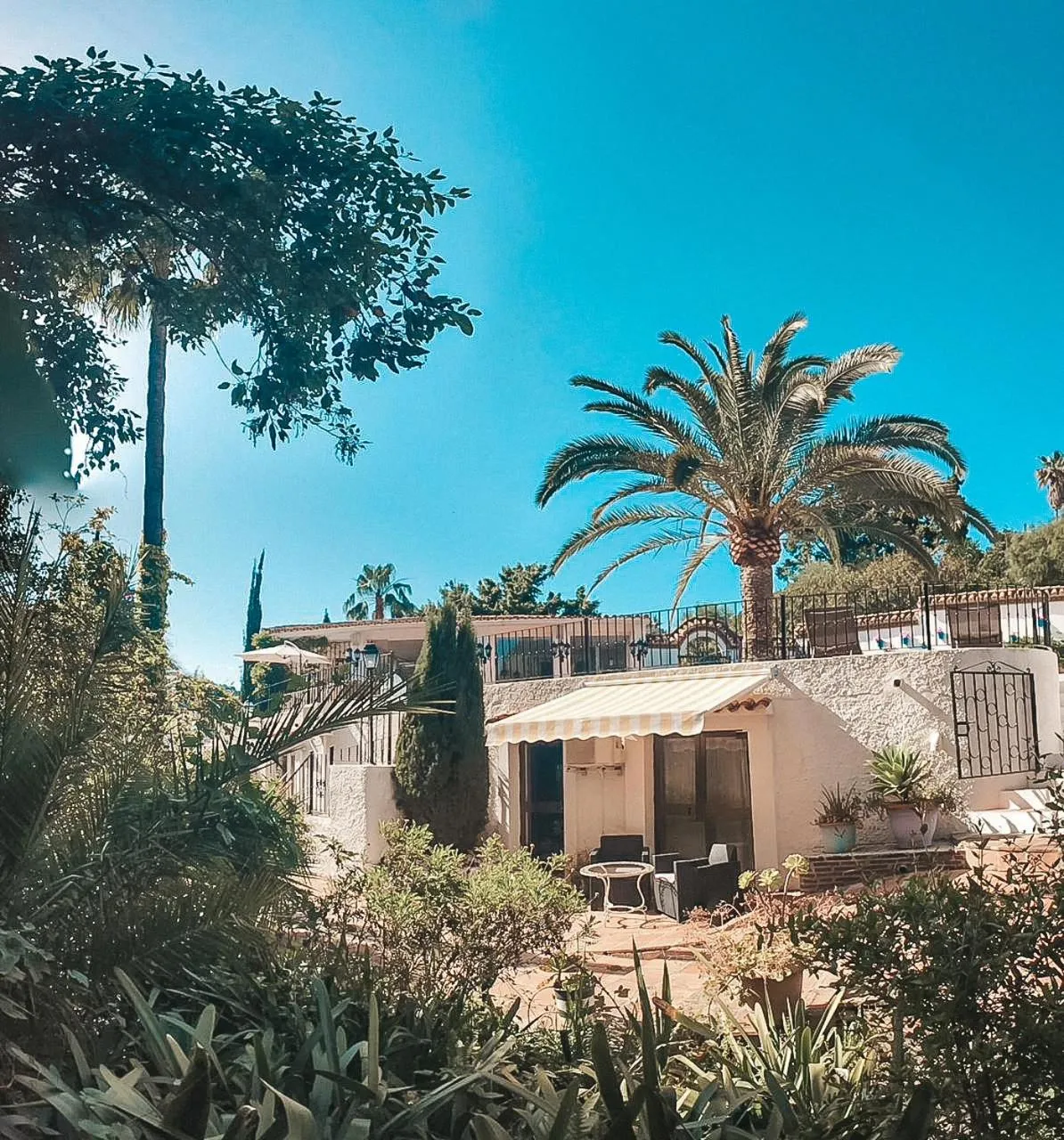 Balcony/Terrace in Jardines De La Reina Boutique Bed & Breakfast