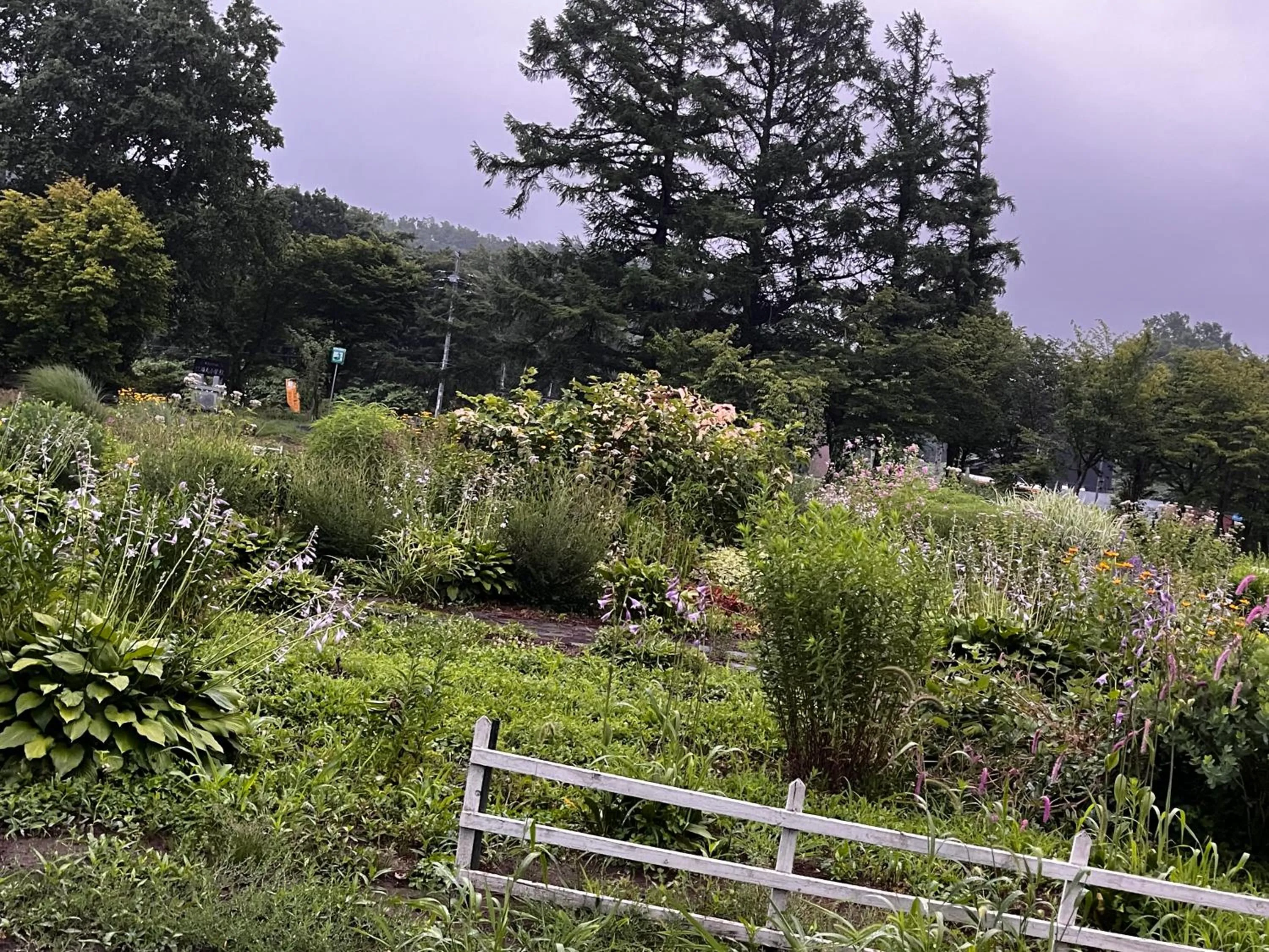 Garden in Boken Kazoku