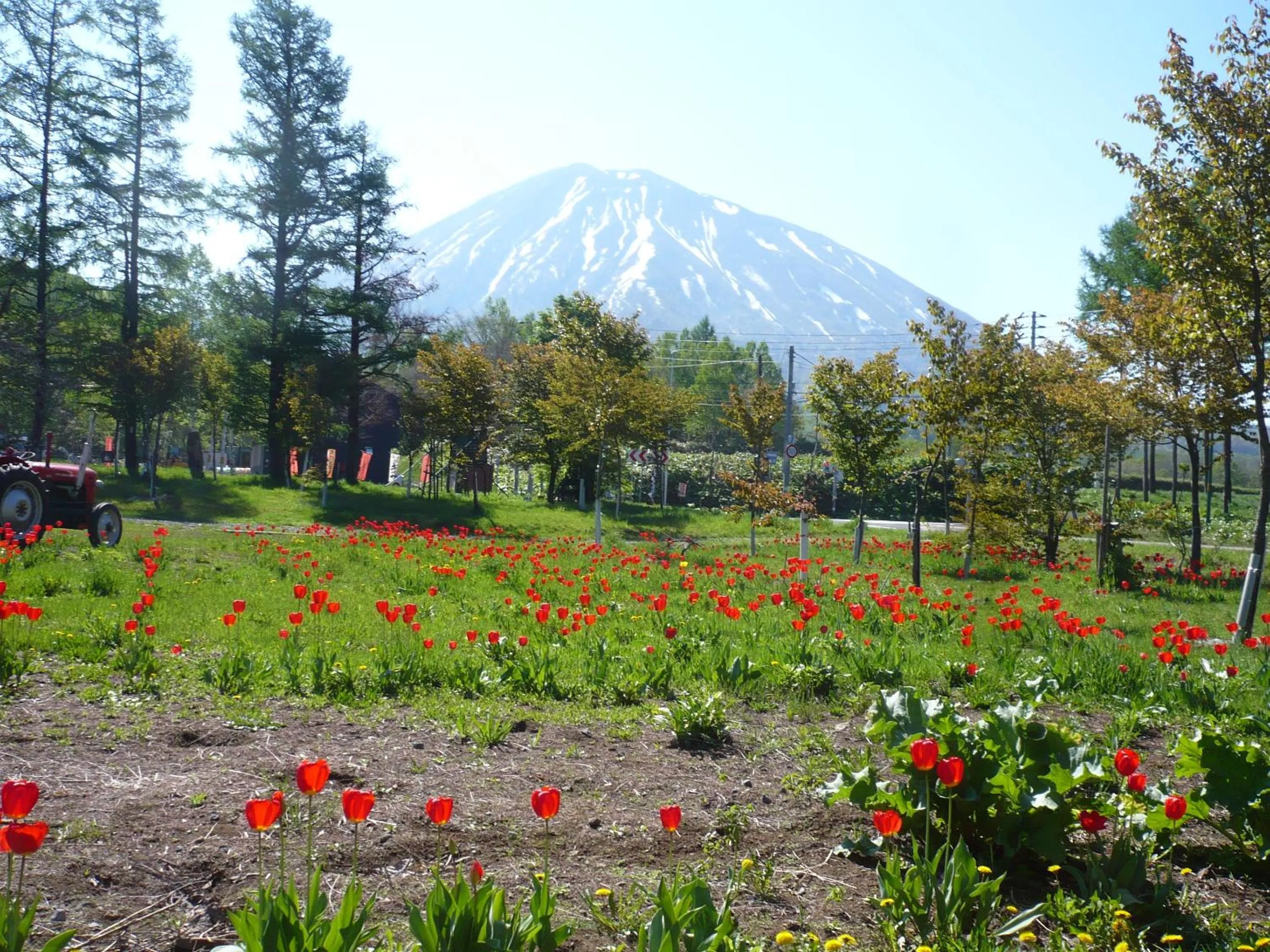 Garden in Boken Kazoku