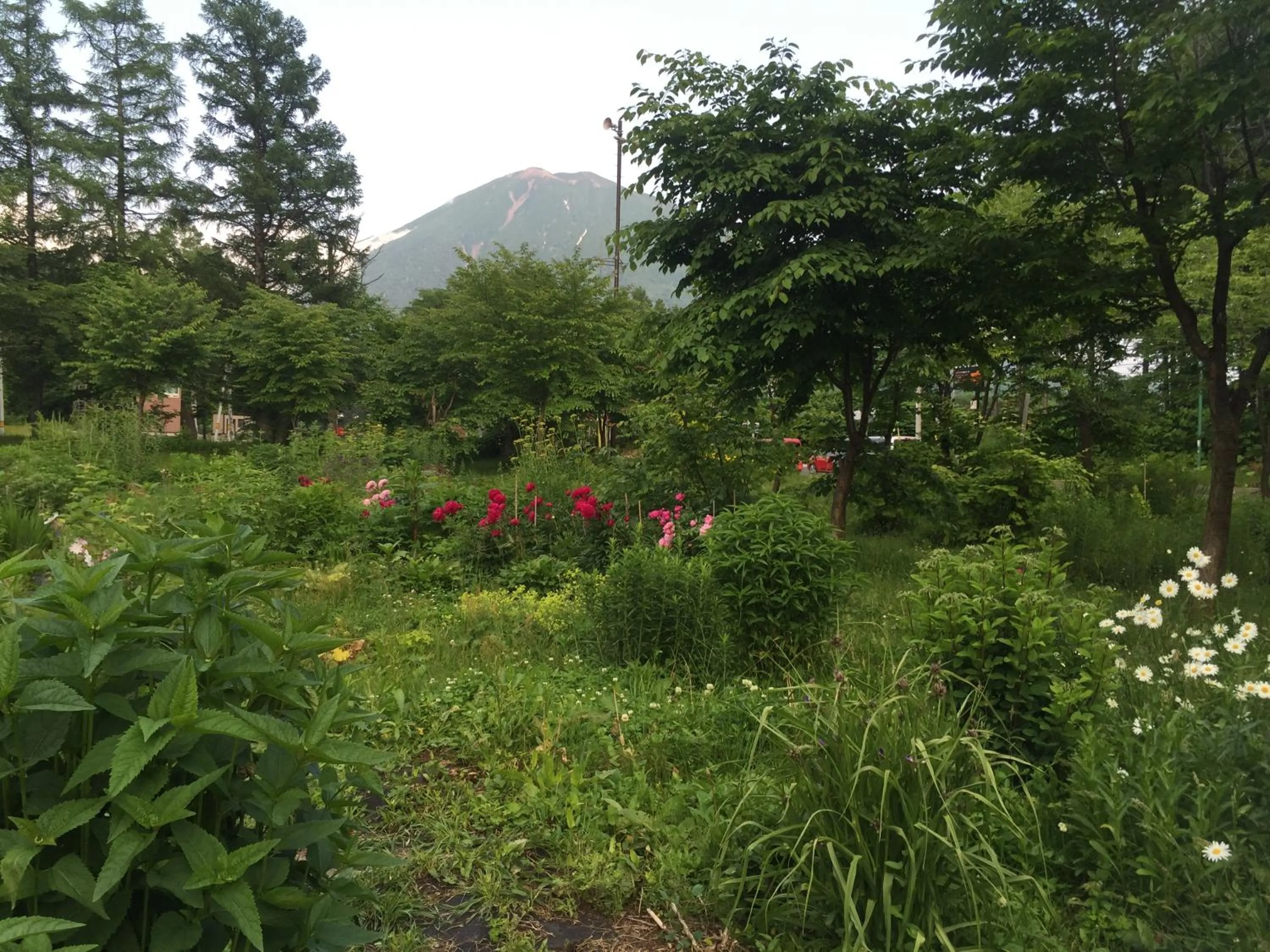 Garden view in Boken Kazoku