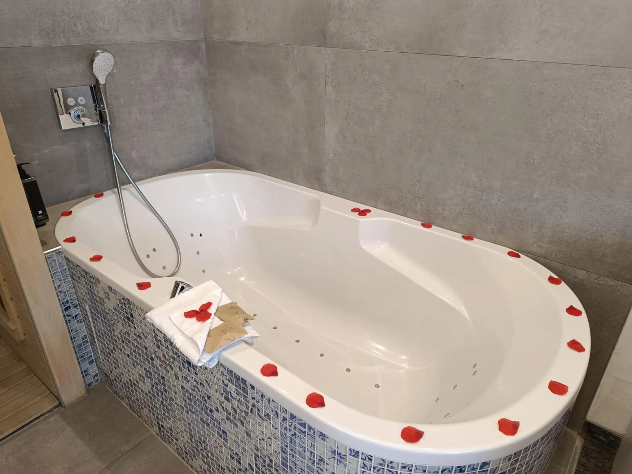 Hot Tub in Ibis Styles La Louvière