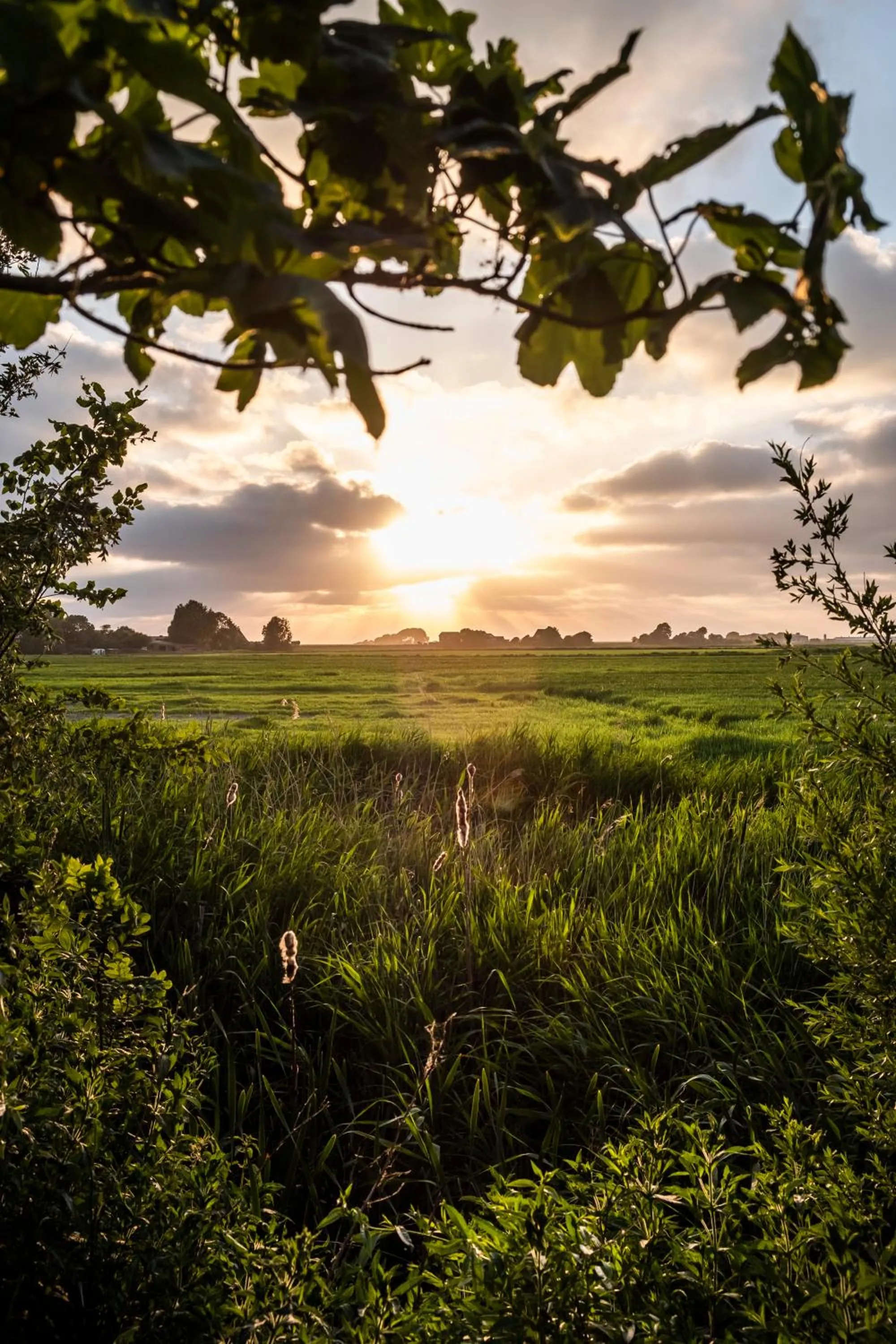 Staff in Hotel, Restaurant, Café Pharisäerhof - Nordseeurlaub mit Hund