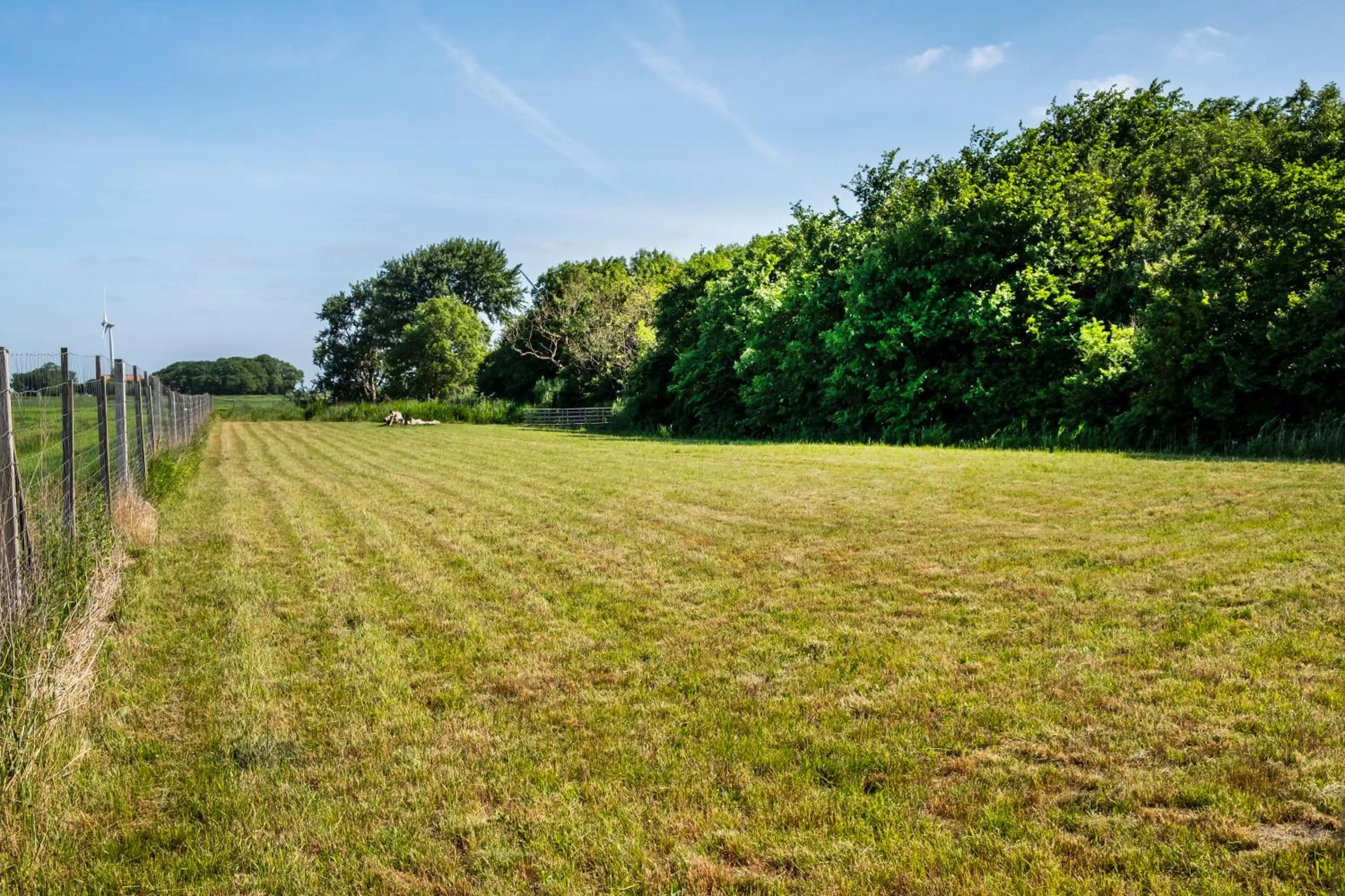 Area and facilities in Hotel, Restaurant, Café Pharisäerhof - Nordseeurlaub mit Hund