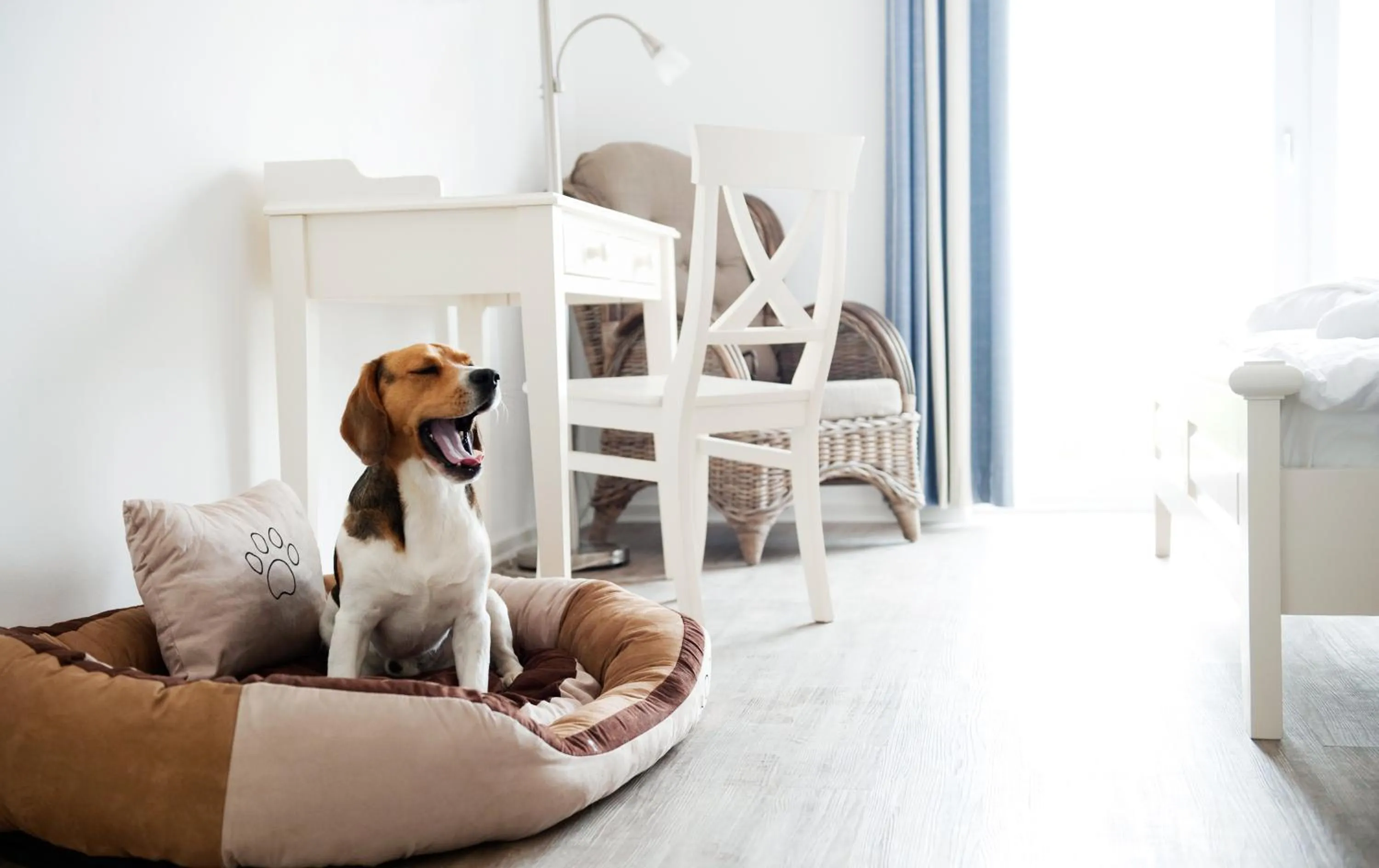 Hotel, Restaurant, Café Pharisäerhof - Nordseeurlaub mit Hund