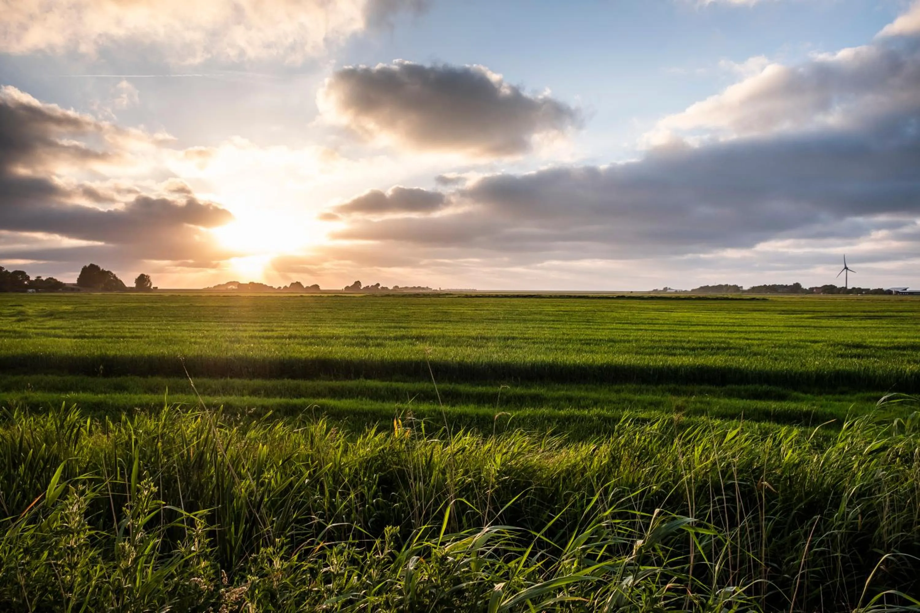 Staff in Hotel, Restaurant, Café Pharisäerhof - Nordseeurlaub mit Hund