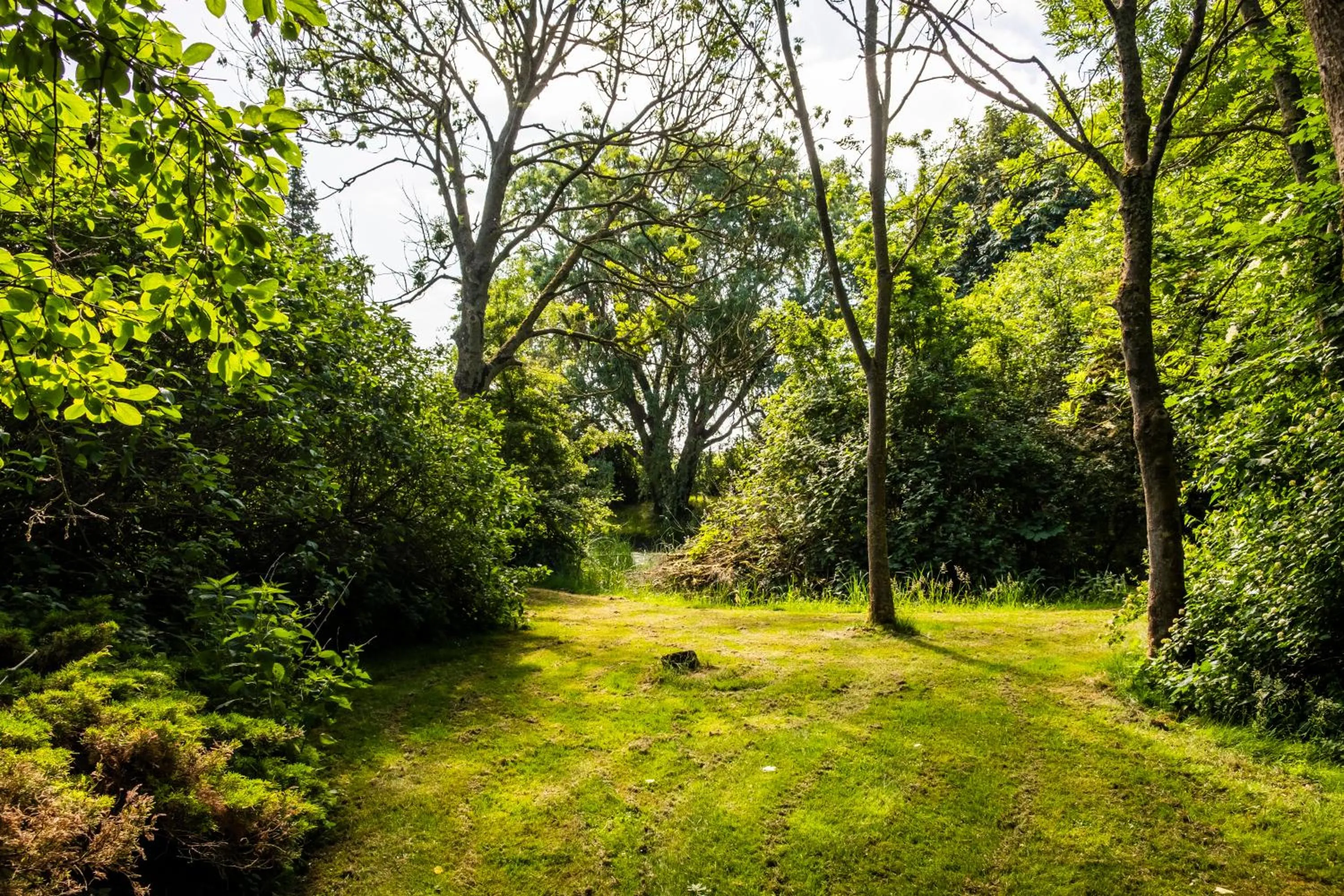 Garden in Hotel, Restaurant, Café Pharisäerhof - Nordseeurlaub mit Hund