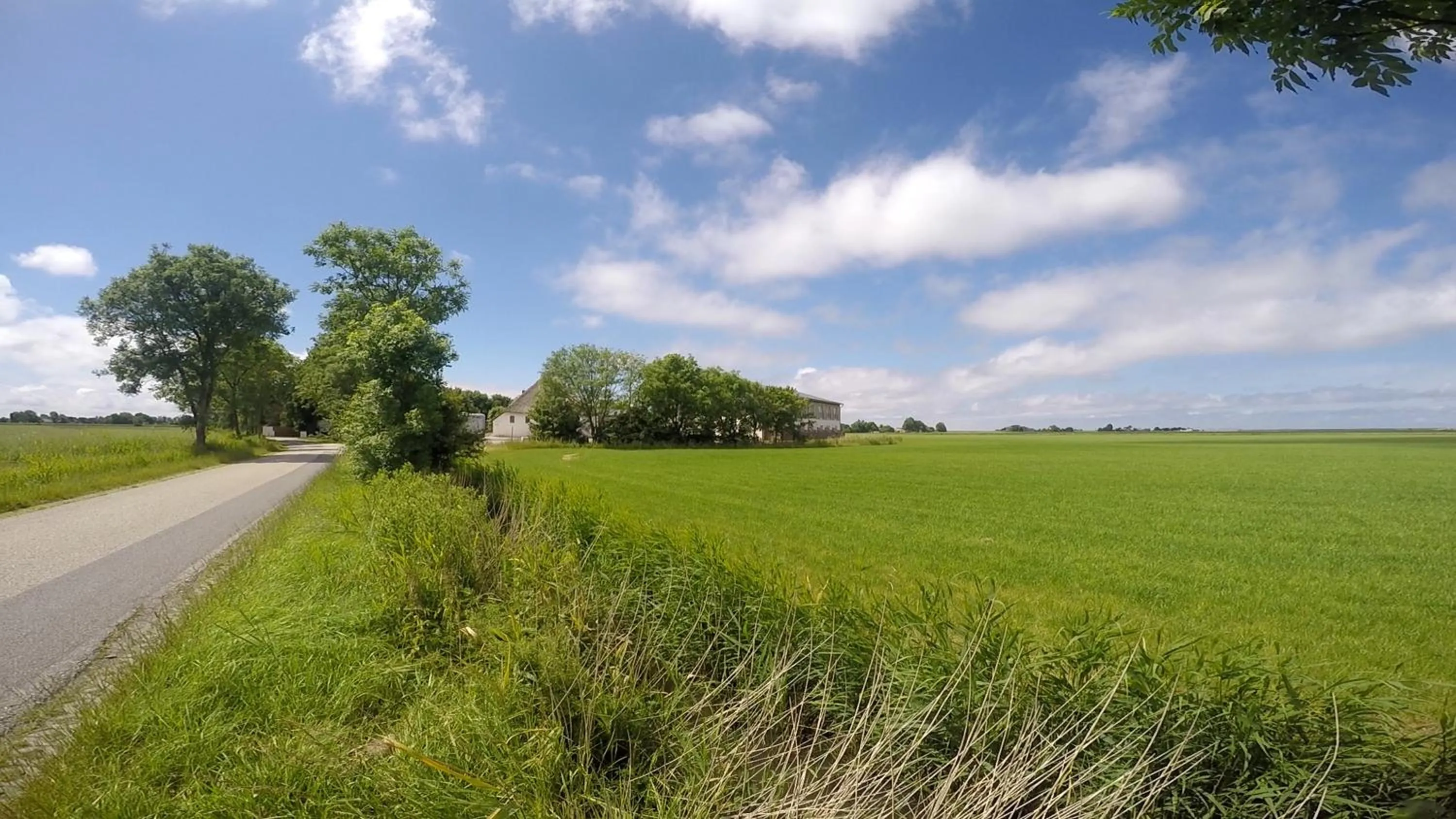 Day in Hotel, Restaurant, Café Pharisäerhof - Nordseeurlaub mit Hund
