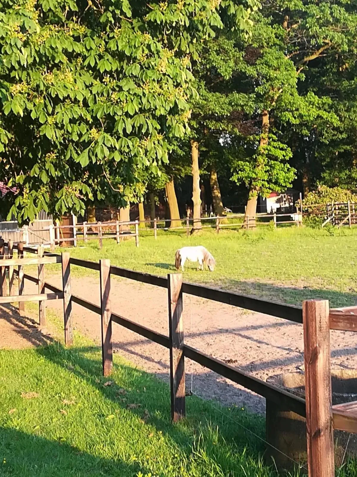 Erve Het Roolvink Boerderij Appartementen 40-50 M2