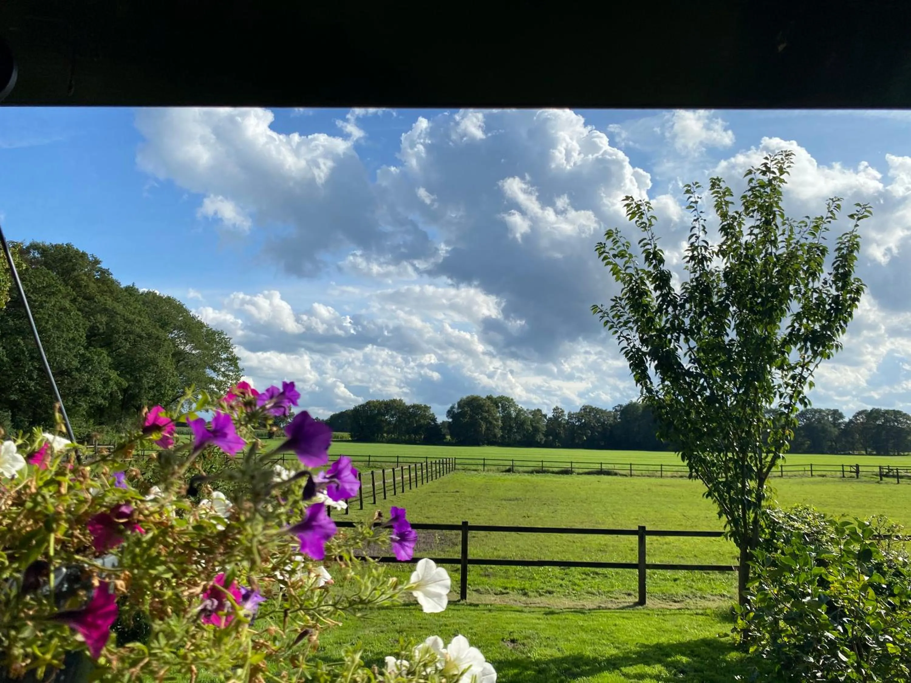 Erve Het Roolvink Boerderij Appartementen 40-50 M2