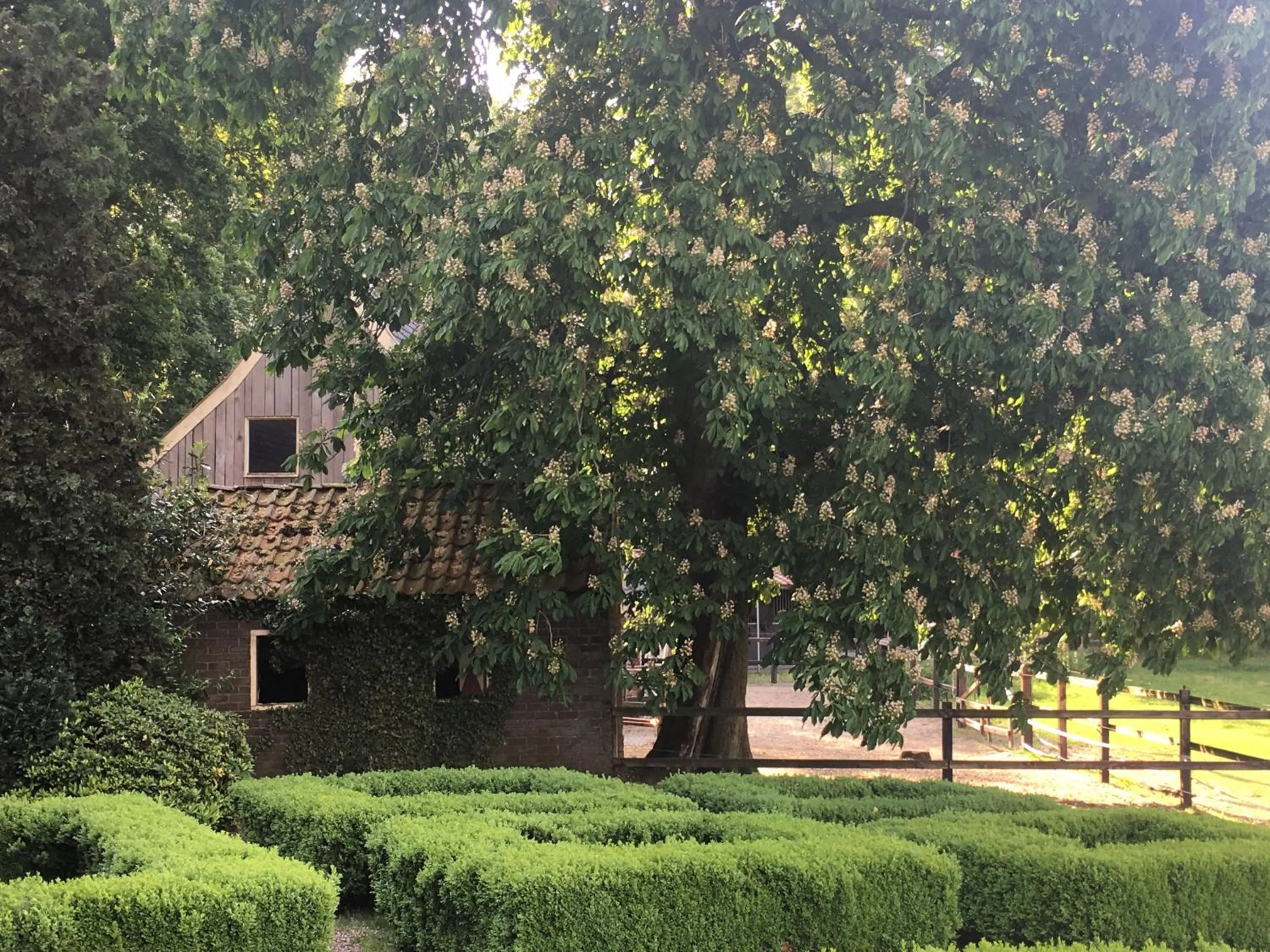 Erve Het Roolvink Boerderij Appartementen 40-50 M2