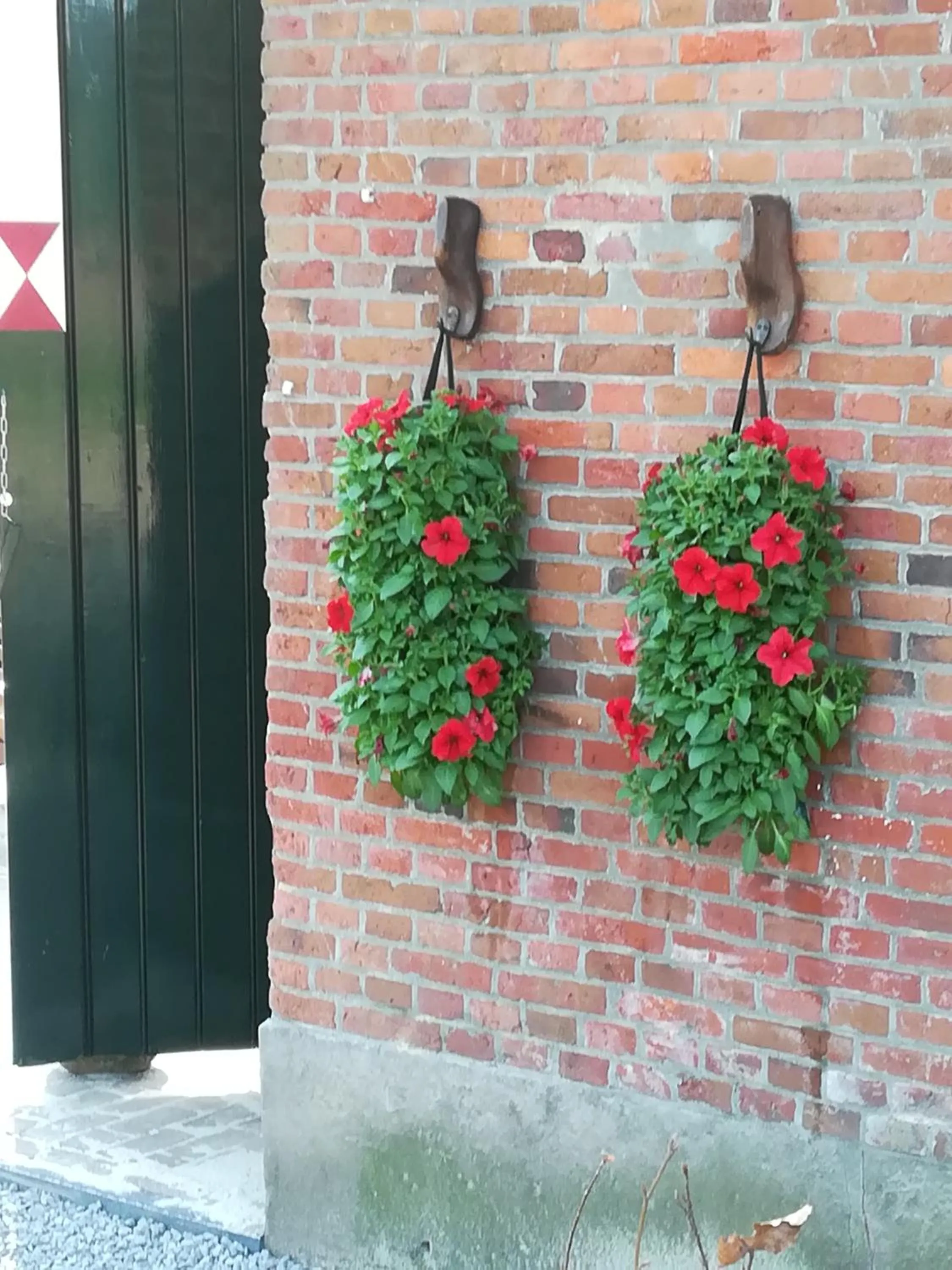 Erve Het Roolvink Boerderij Appartementen 40-50 M2