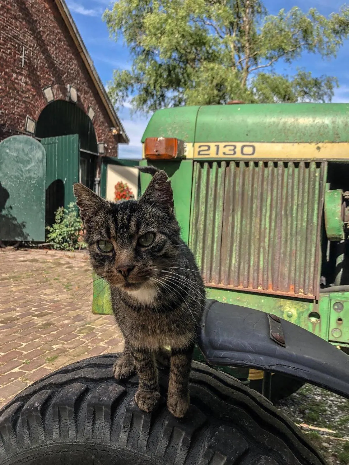 Erve Het Roolvink Boerderij Appartementen 40-50 M2