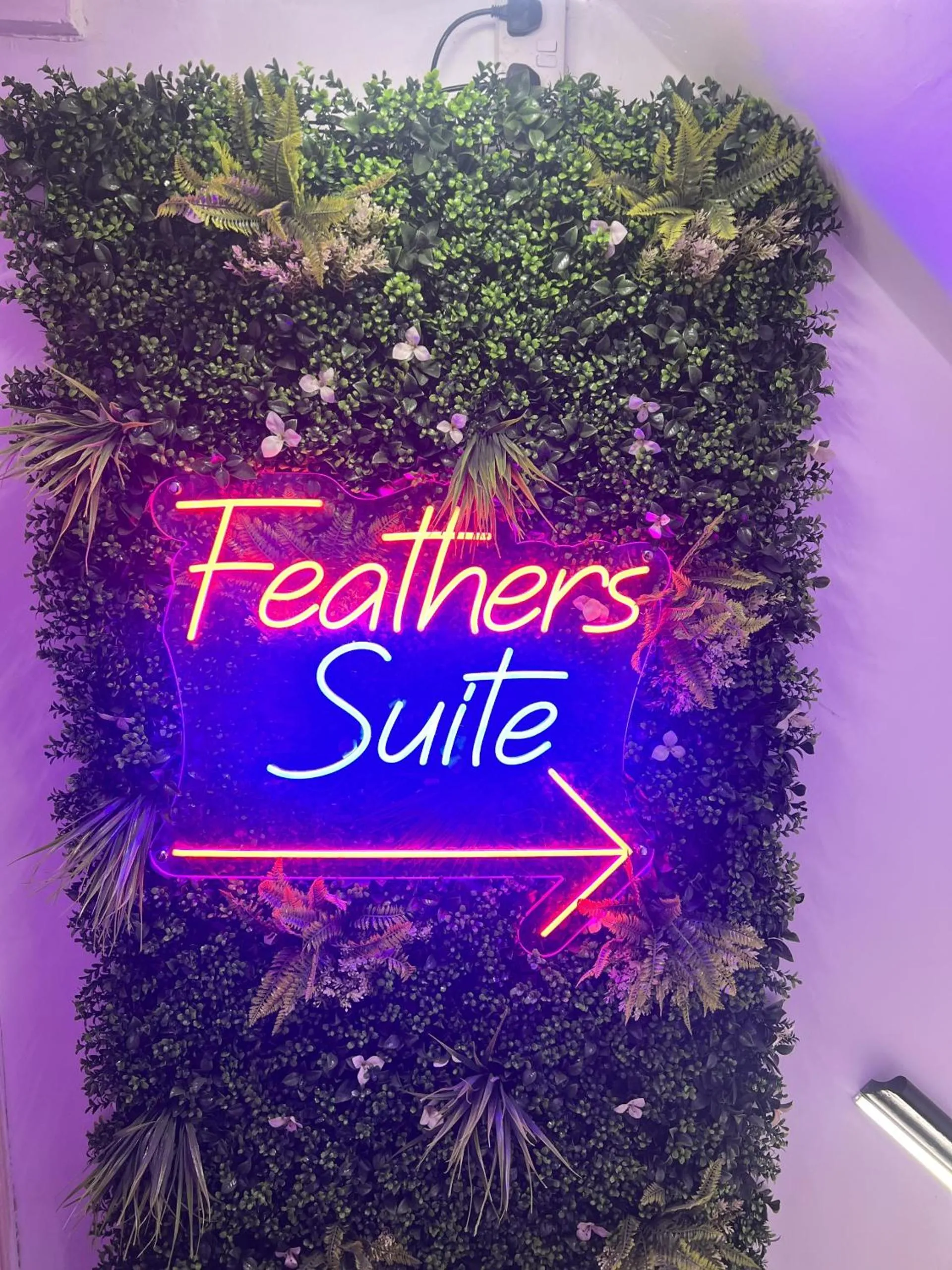 Property logo or sign in The Feathers Hotel