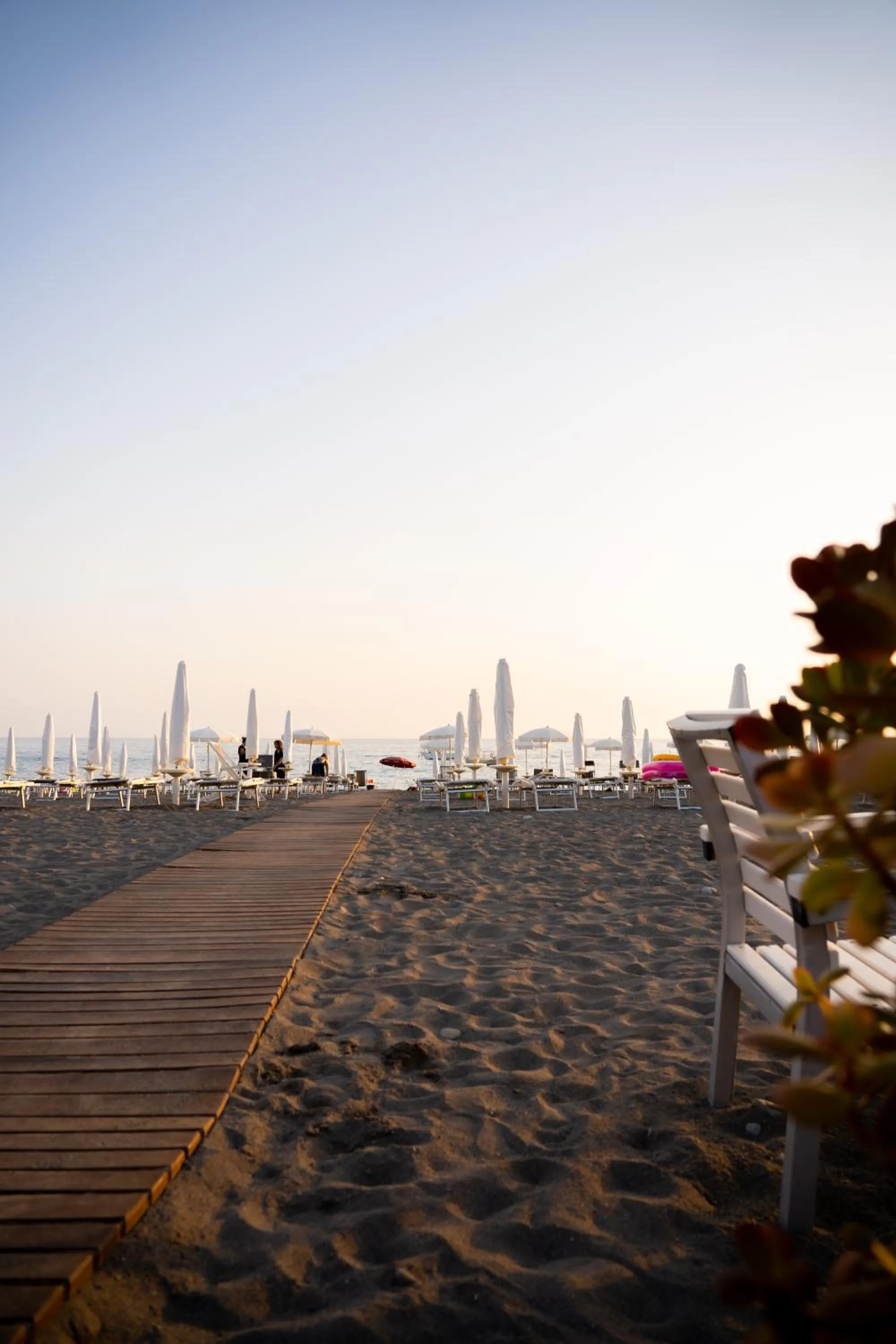 Natural landscape in Hotel Garden