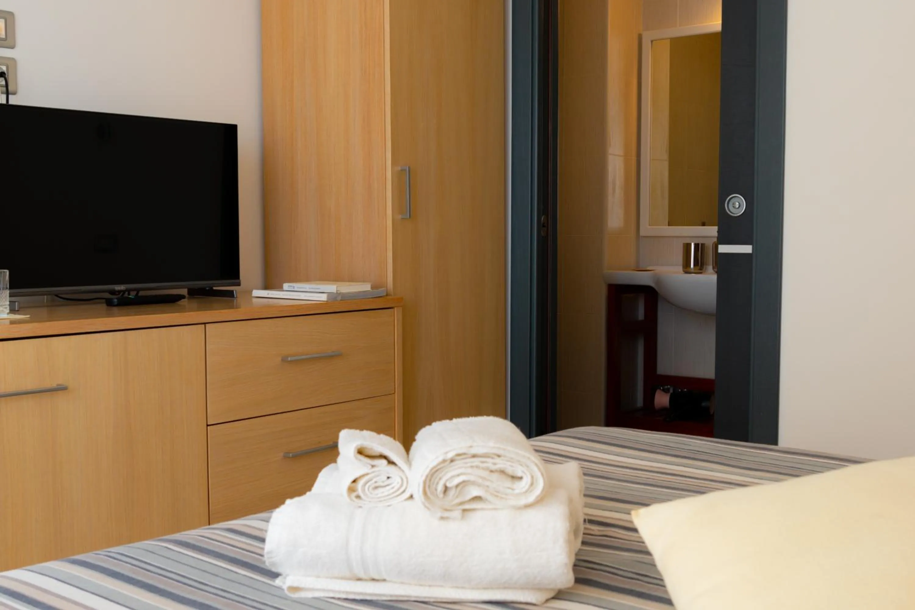 TV and multimedia in Hotel Garden