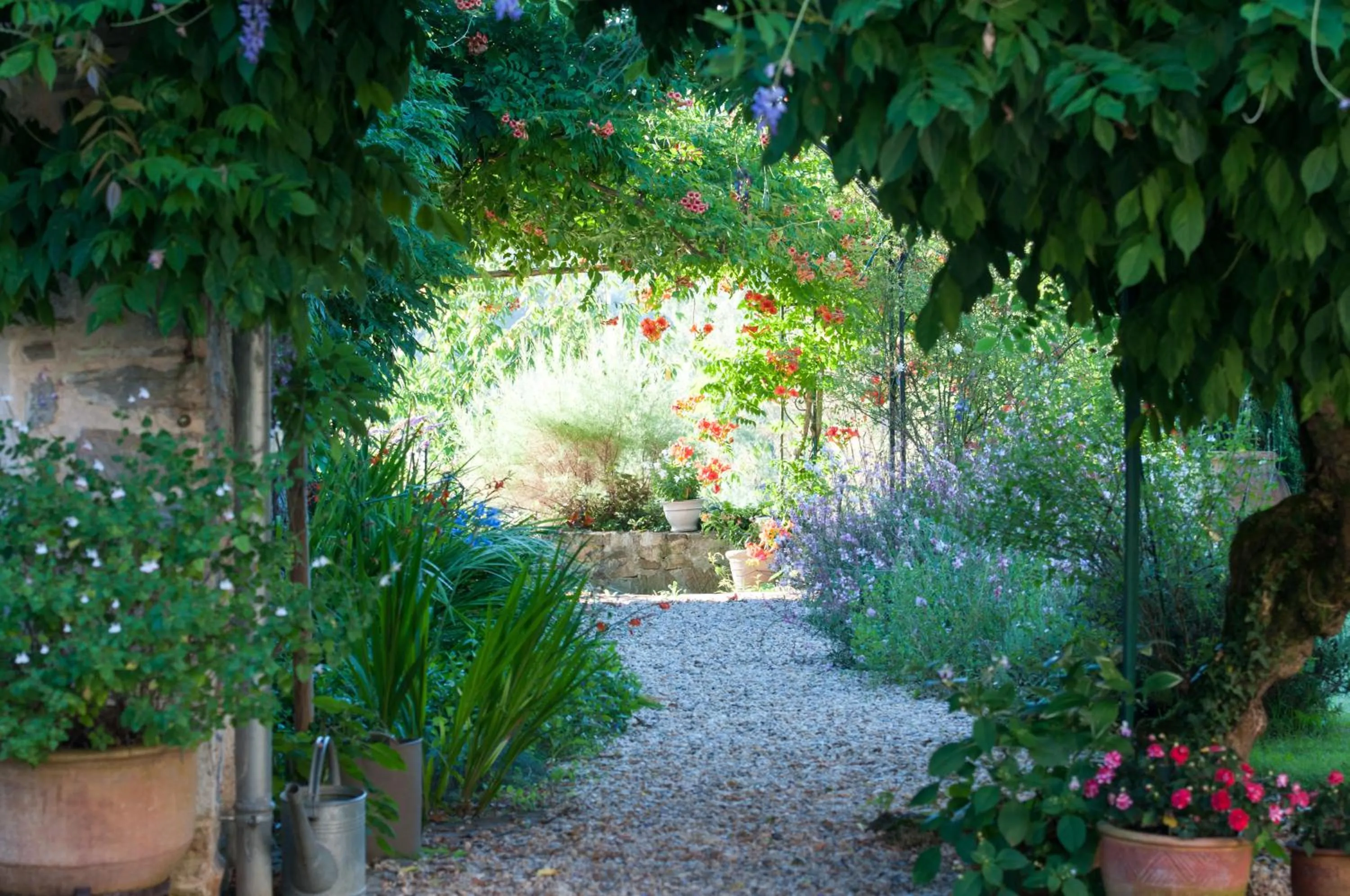 Garden in Chambres d'Hôtes Secret Pyrenées