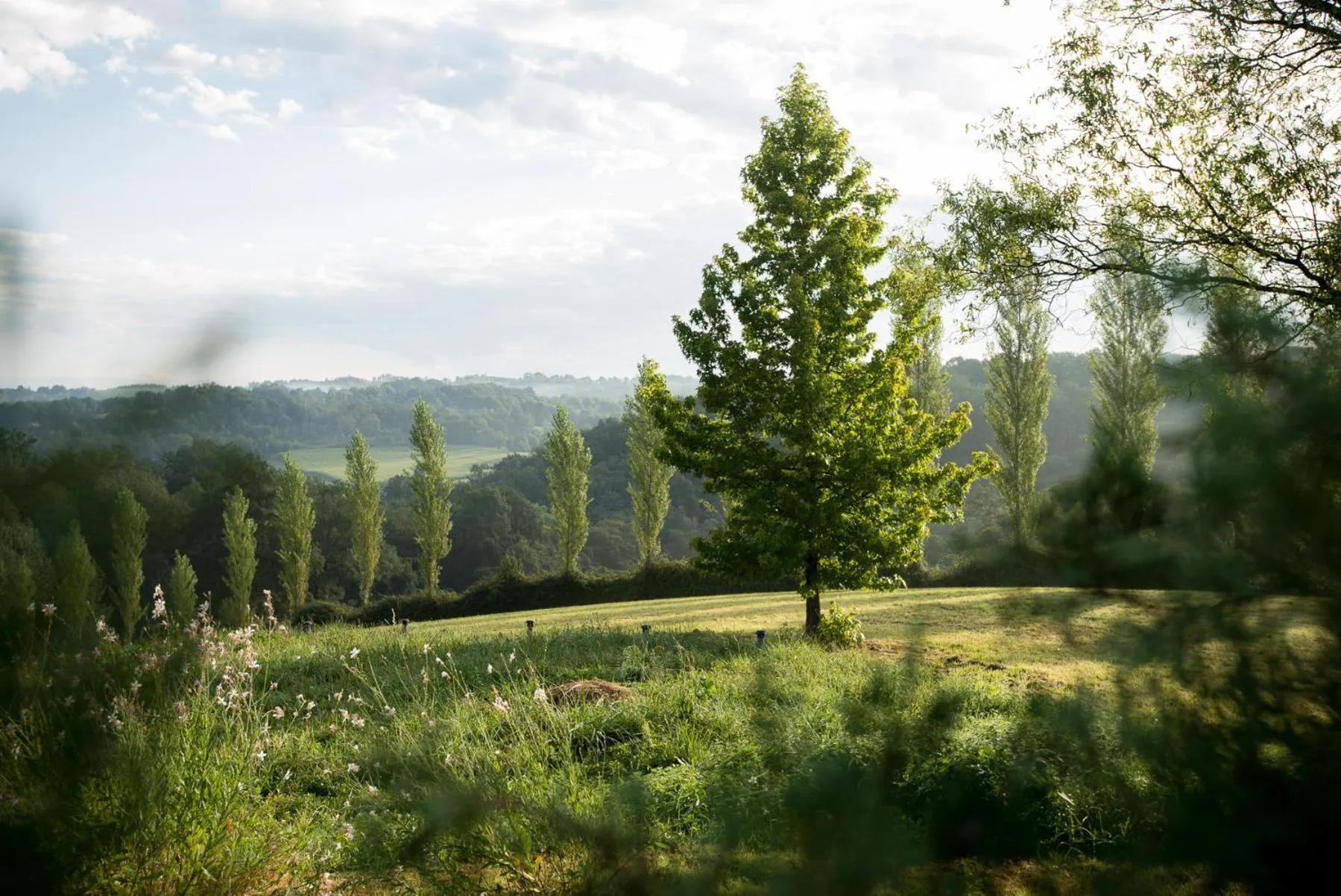 Garden in Chambres d'Hôtes Secret Pyrenées