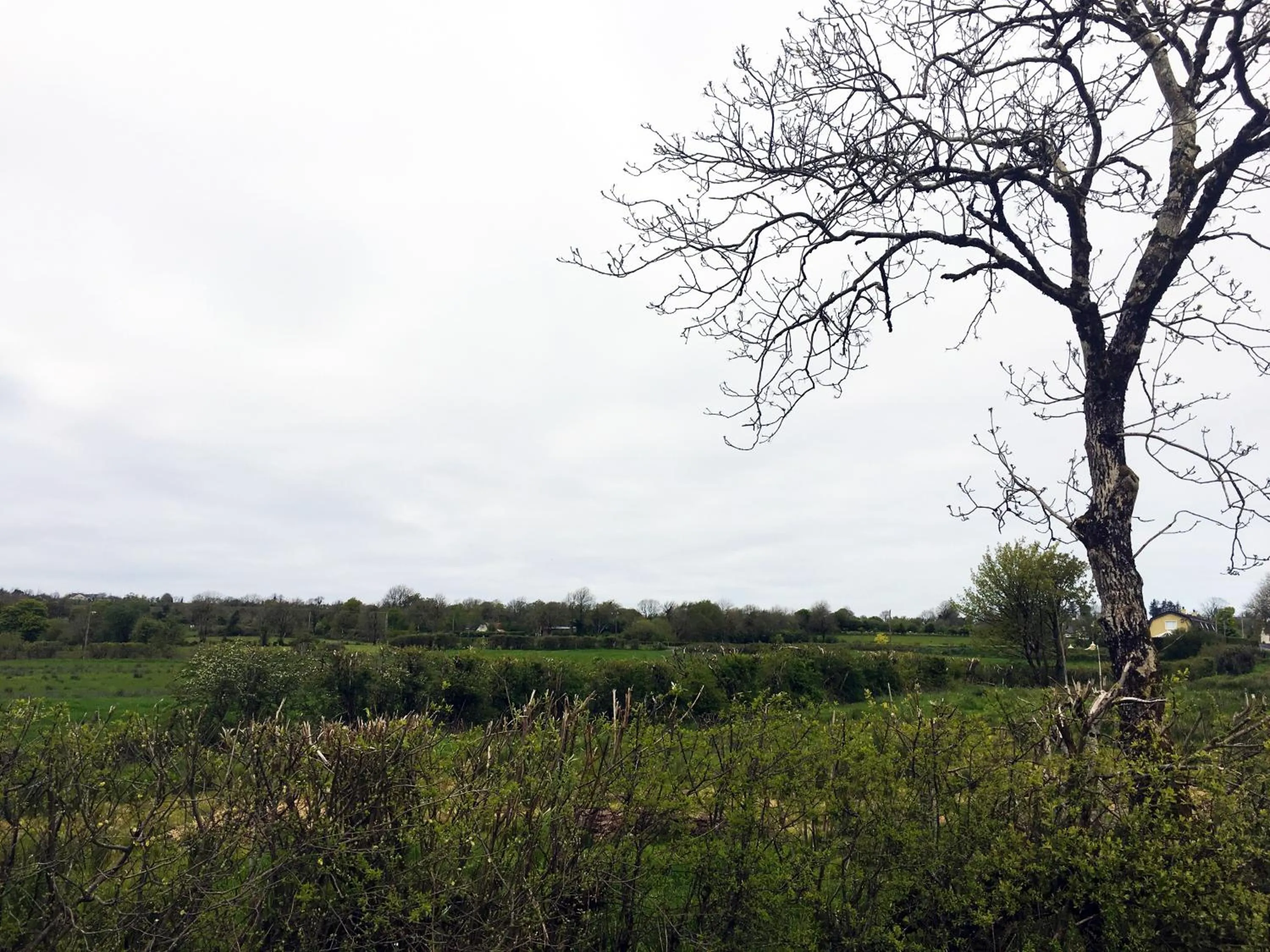 View (from property/room) in Ferney House