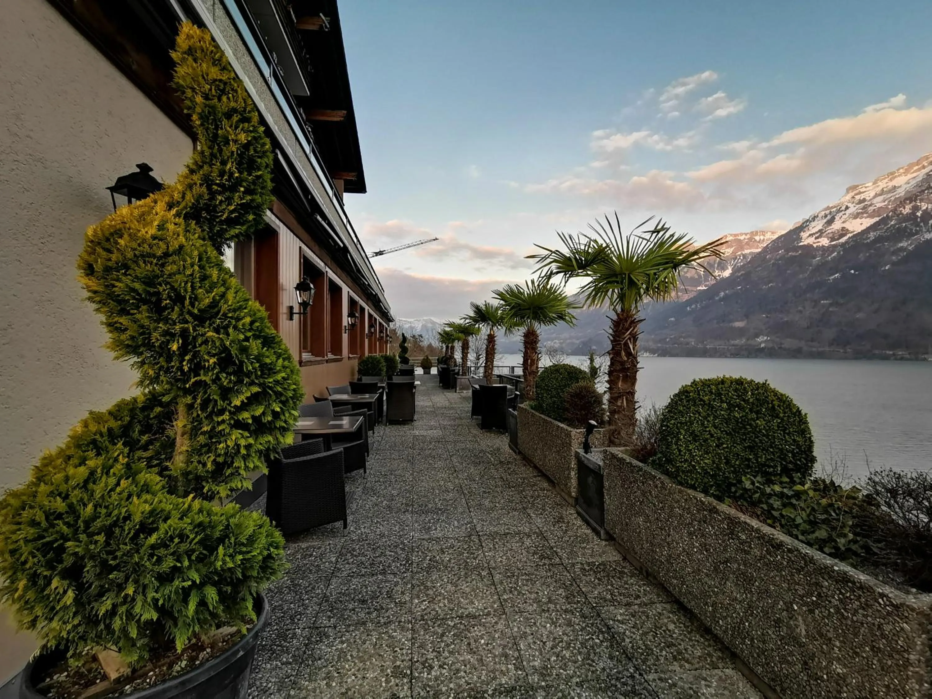 Garden in Hotel Brienzersee