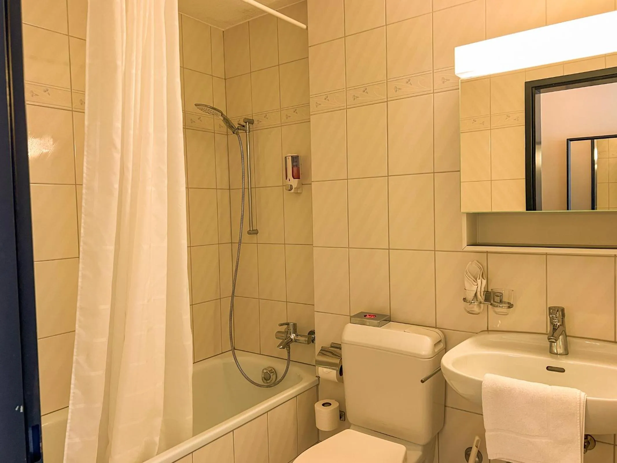 Toilet in Seehotel Riviera at Lake Lucerne