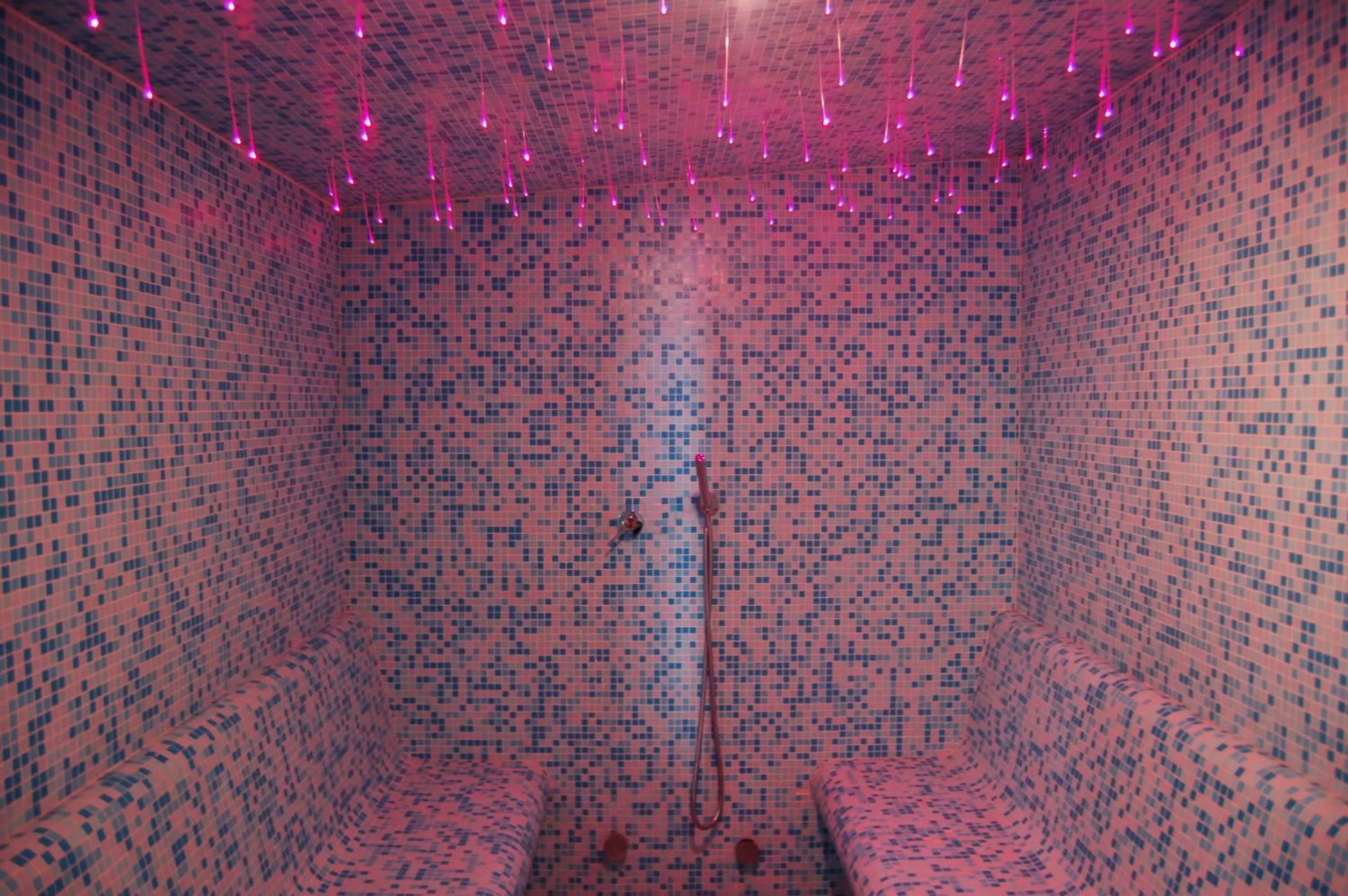 Steam room in Relais La Colombara Spa & Wellness