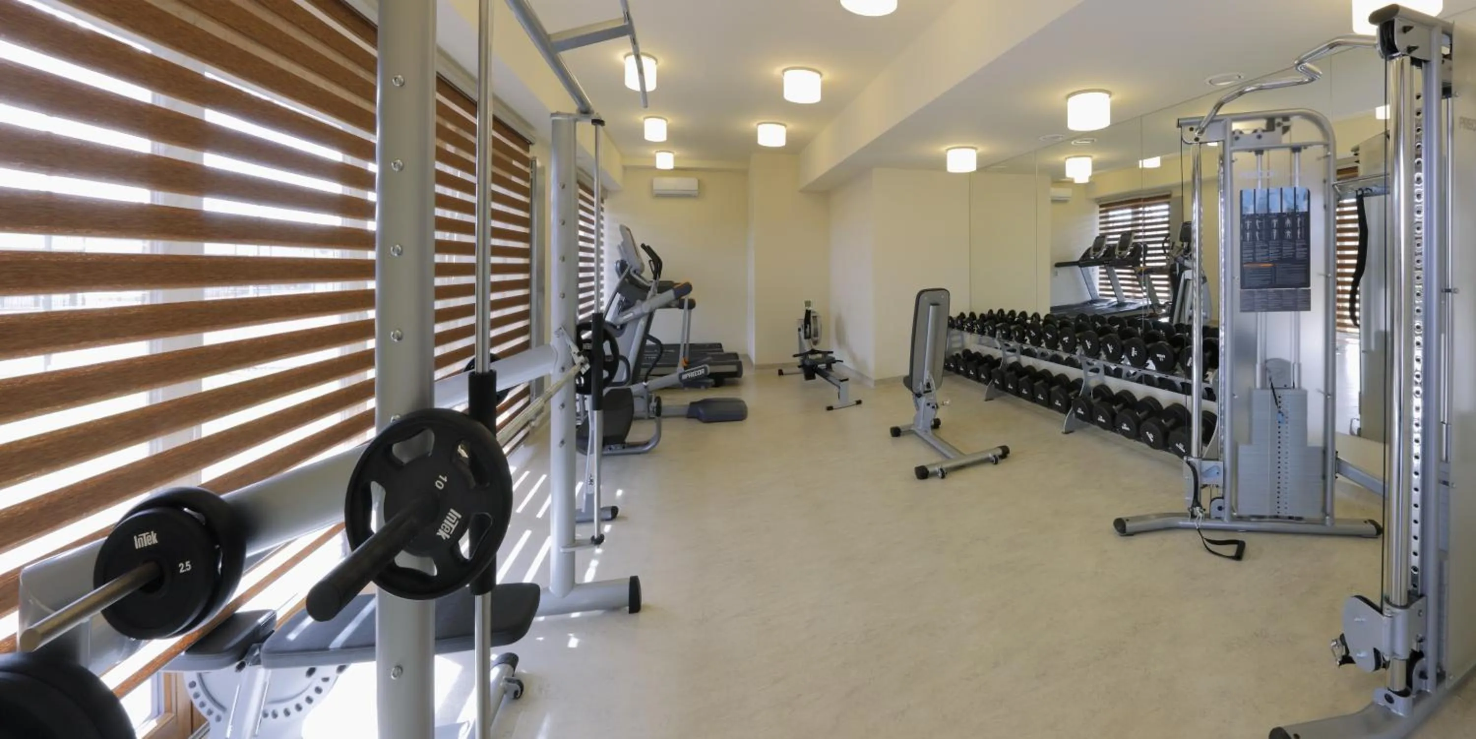 Fitness centre/facilities in Esmarin wellness hotel