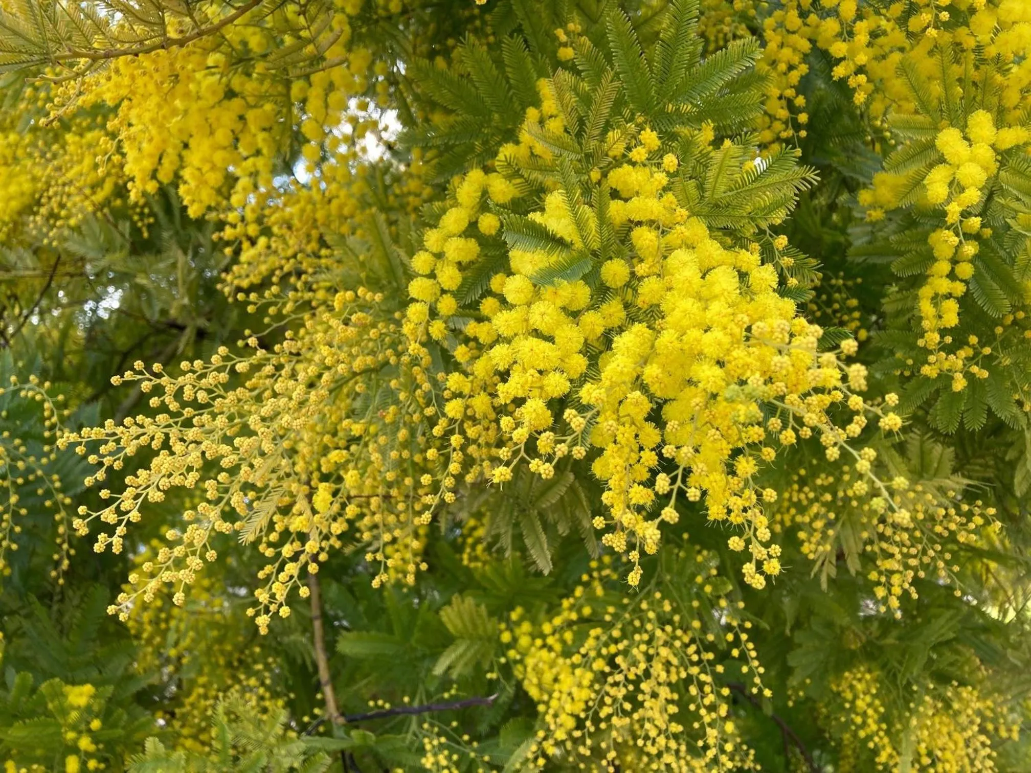 Natural landscape in La Résidence du Moulin