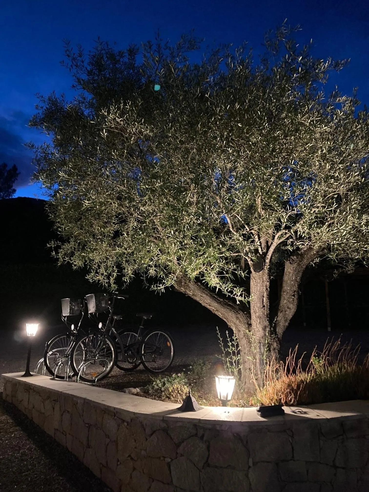 Garden in La Résidence du Moulin