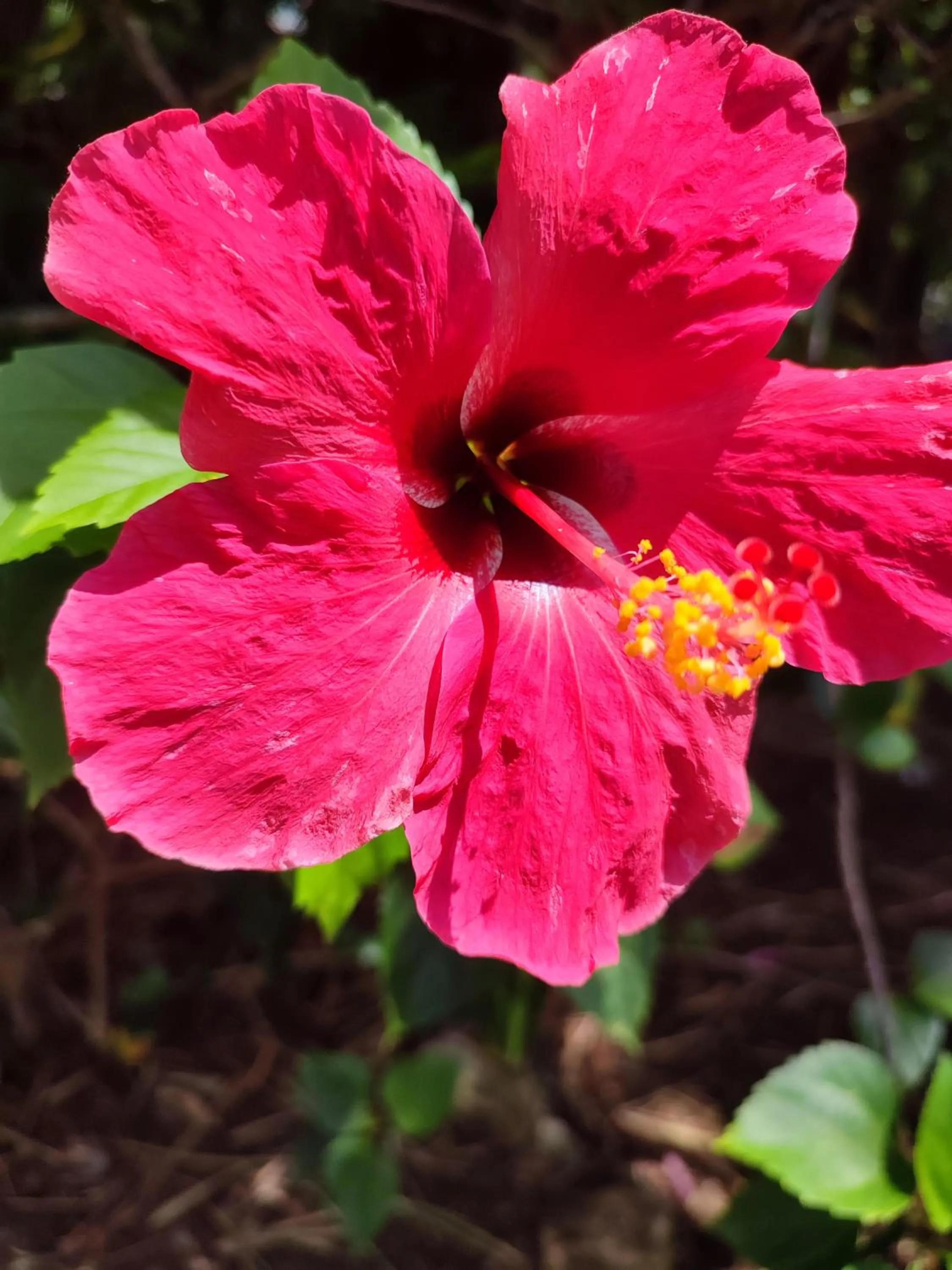 Garden view in Ltu Garden