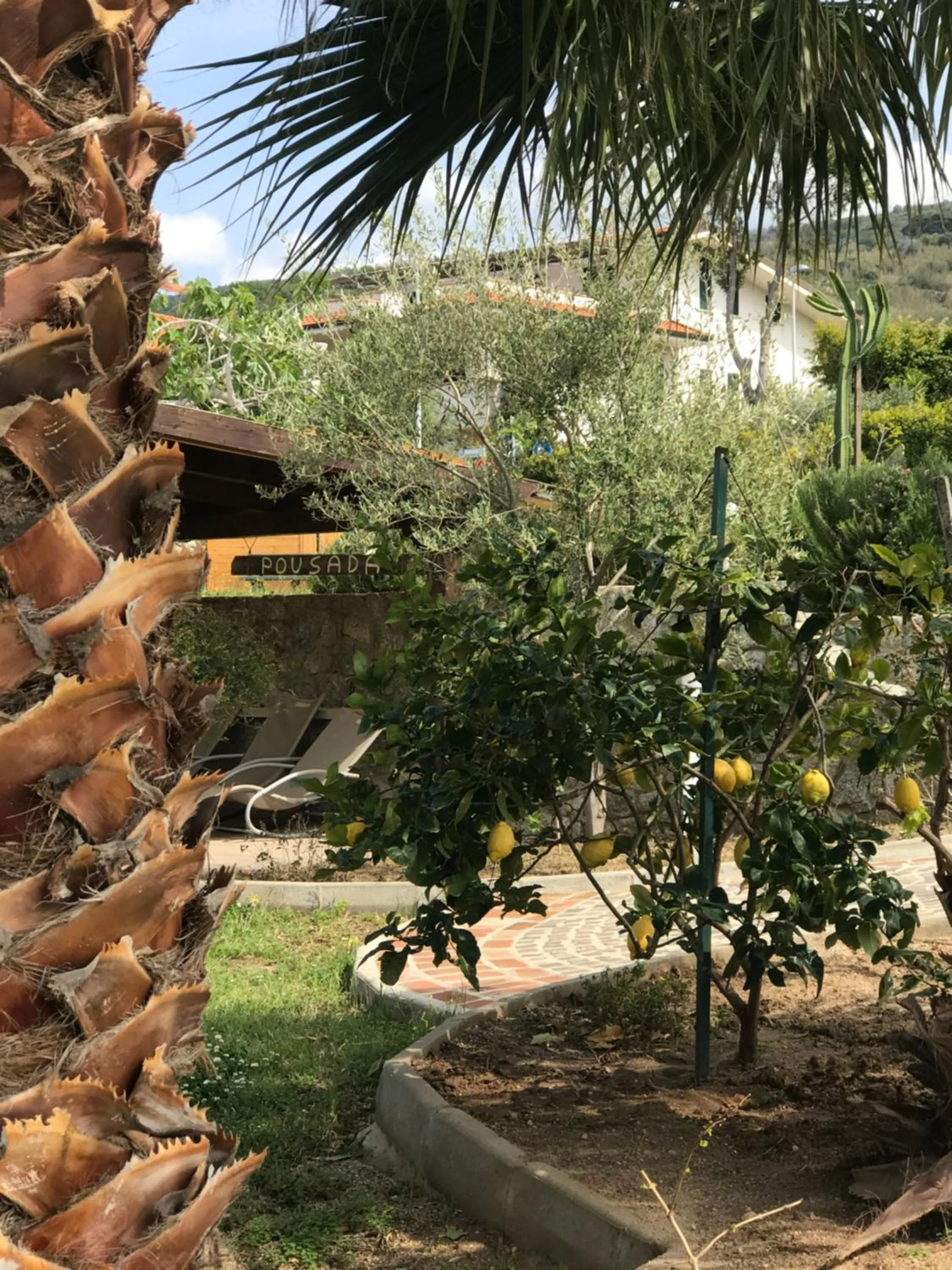 Garden in Appartamenti Pousada Michelino