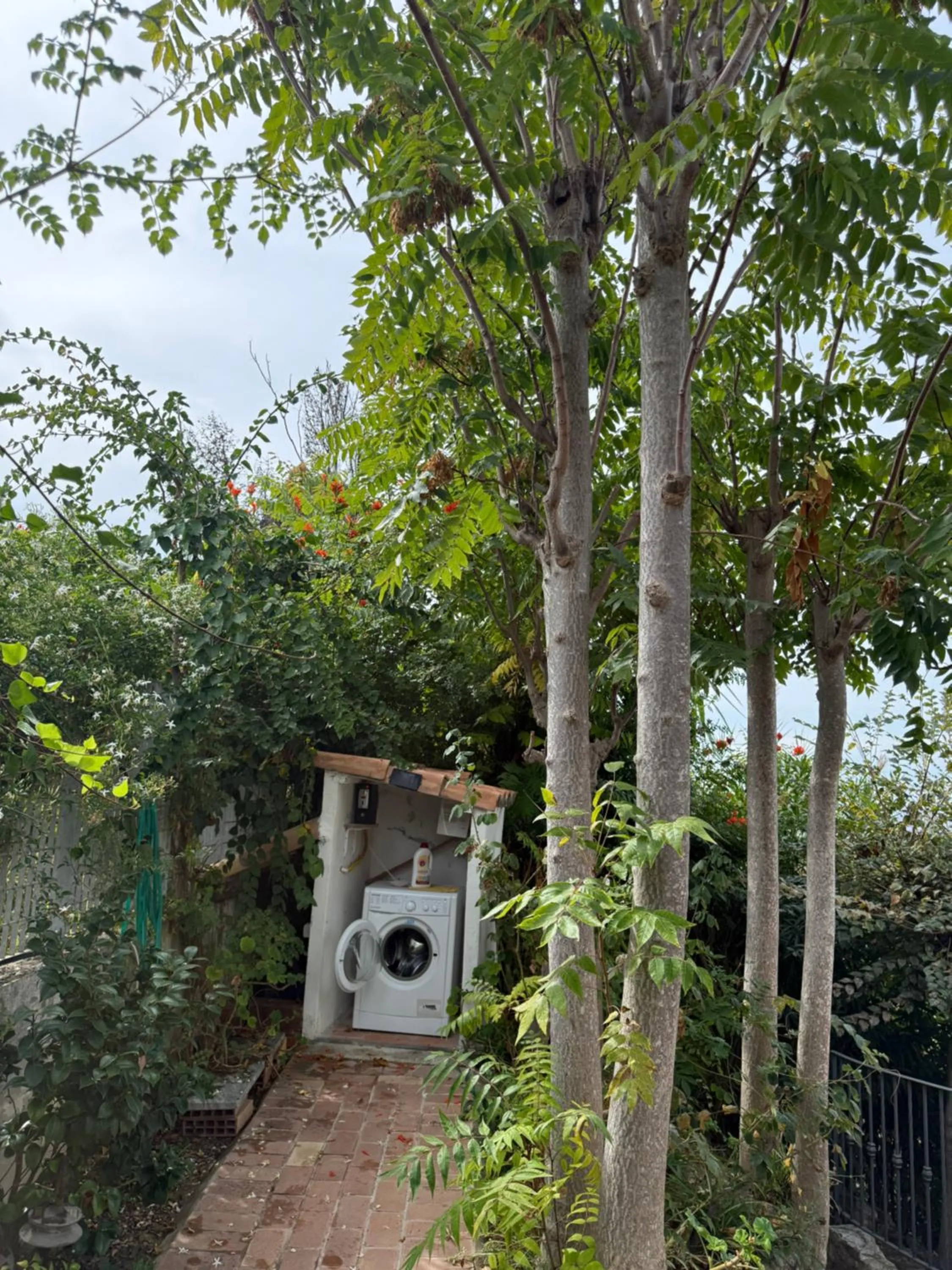 Garden in Appartamenti Pousada Michelino