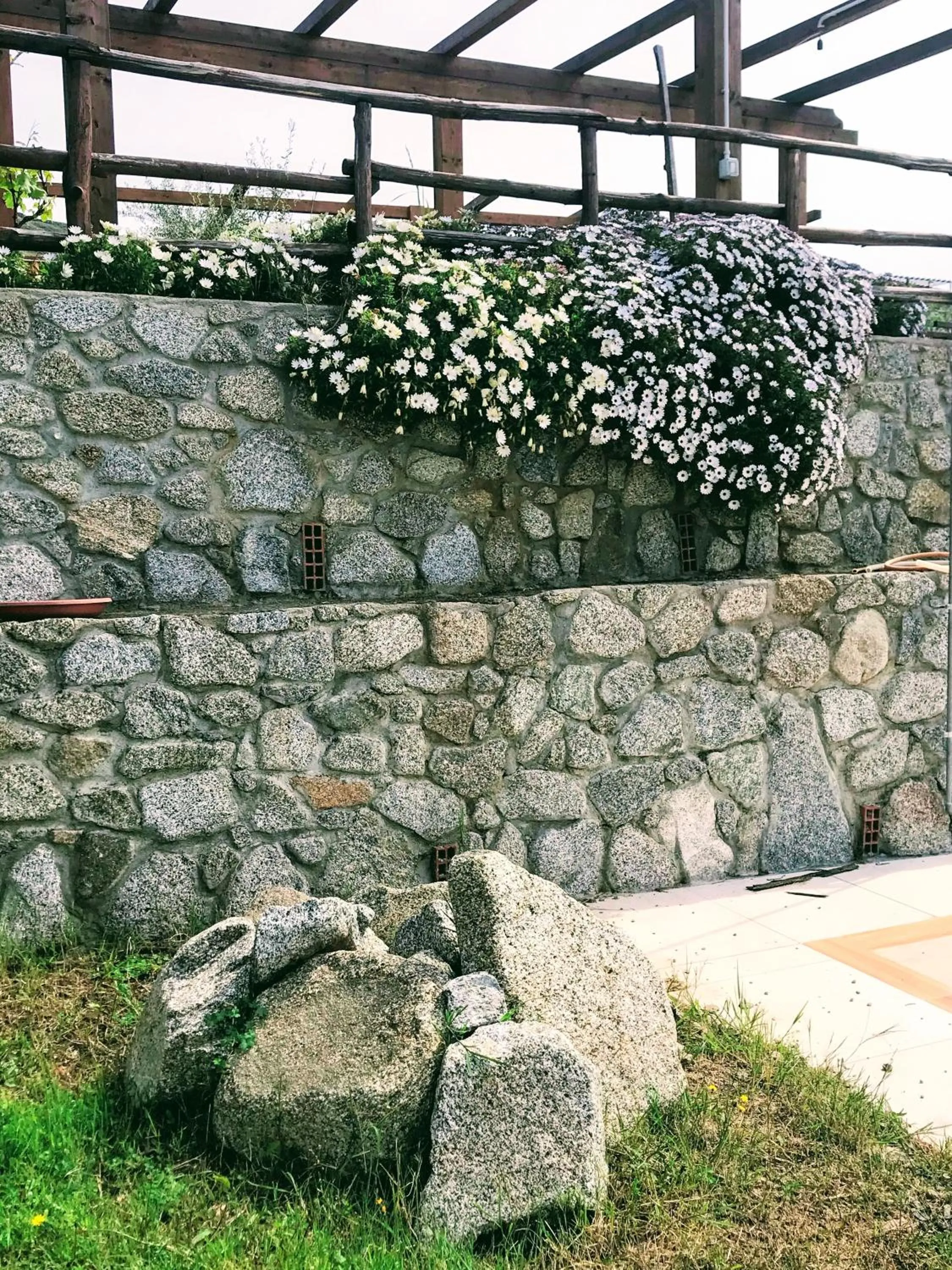 Garden in Appartamenti Pousada Michelino